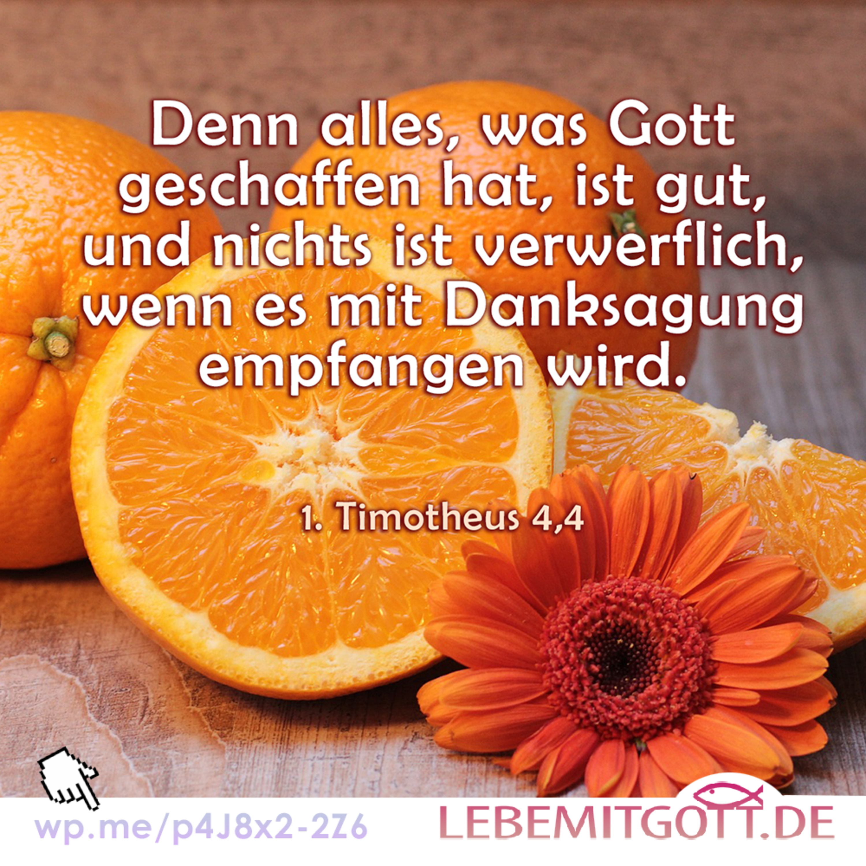 Lebe mit Gott * Andachten