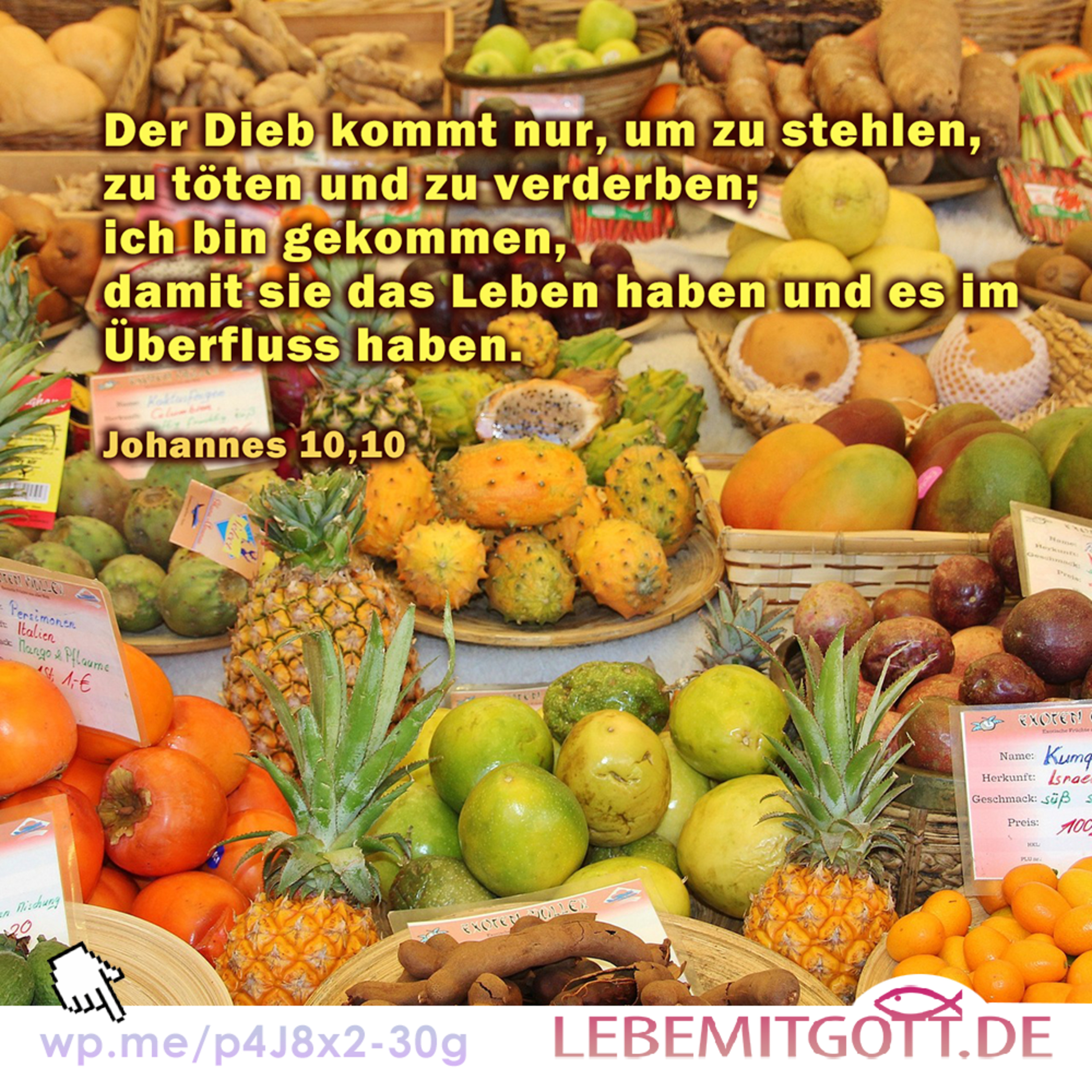 Lebe mit Gott * Andachten