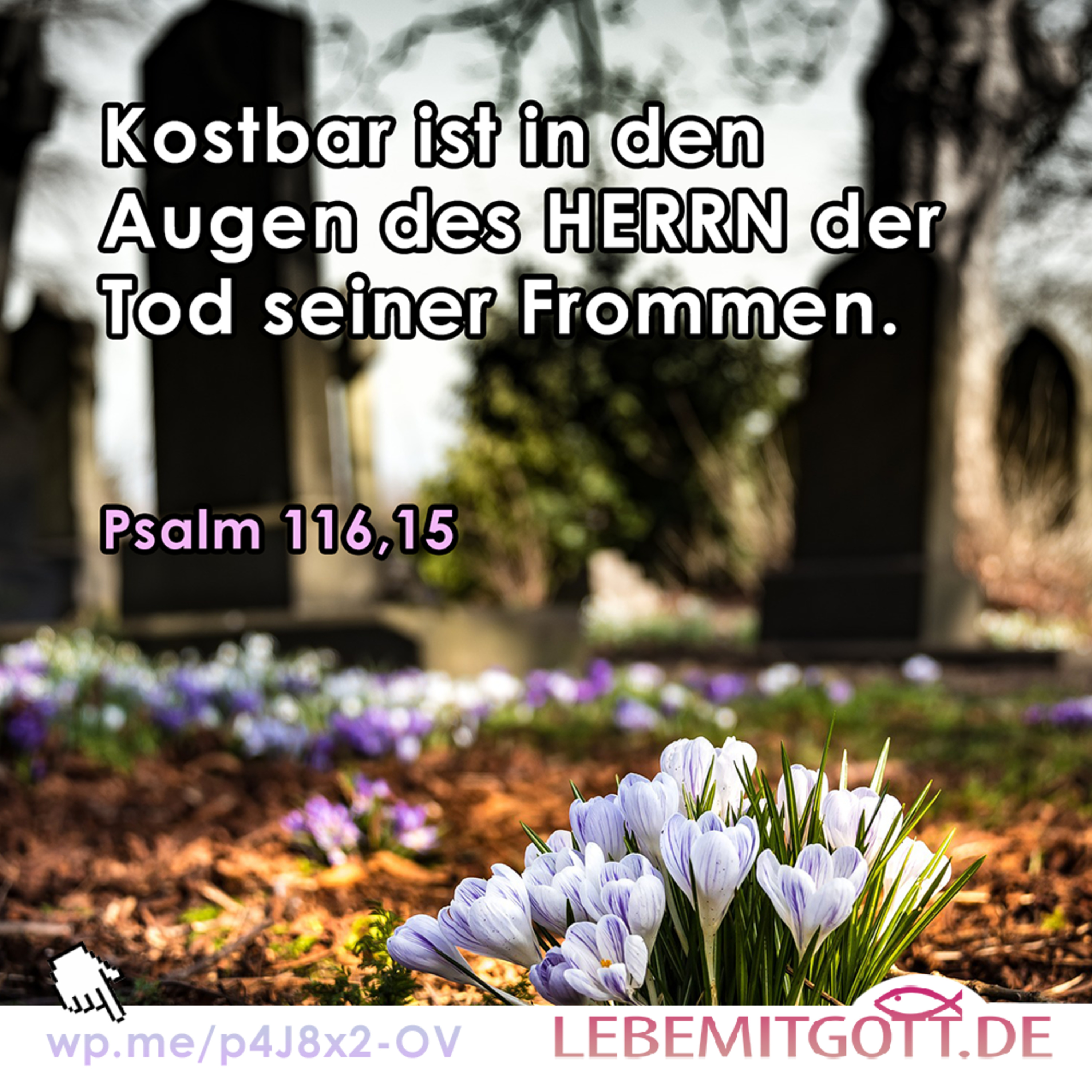 Lebe mit Gott * Andachten