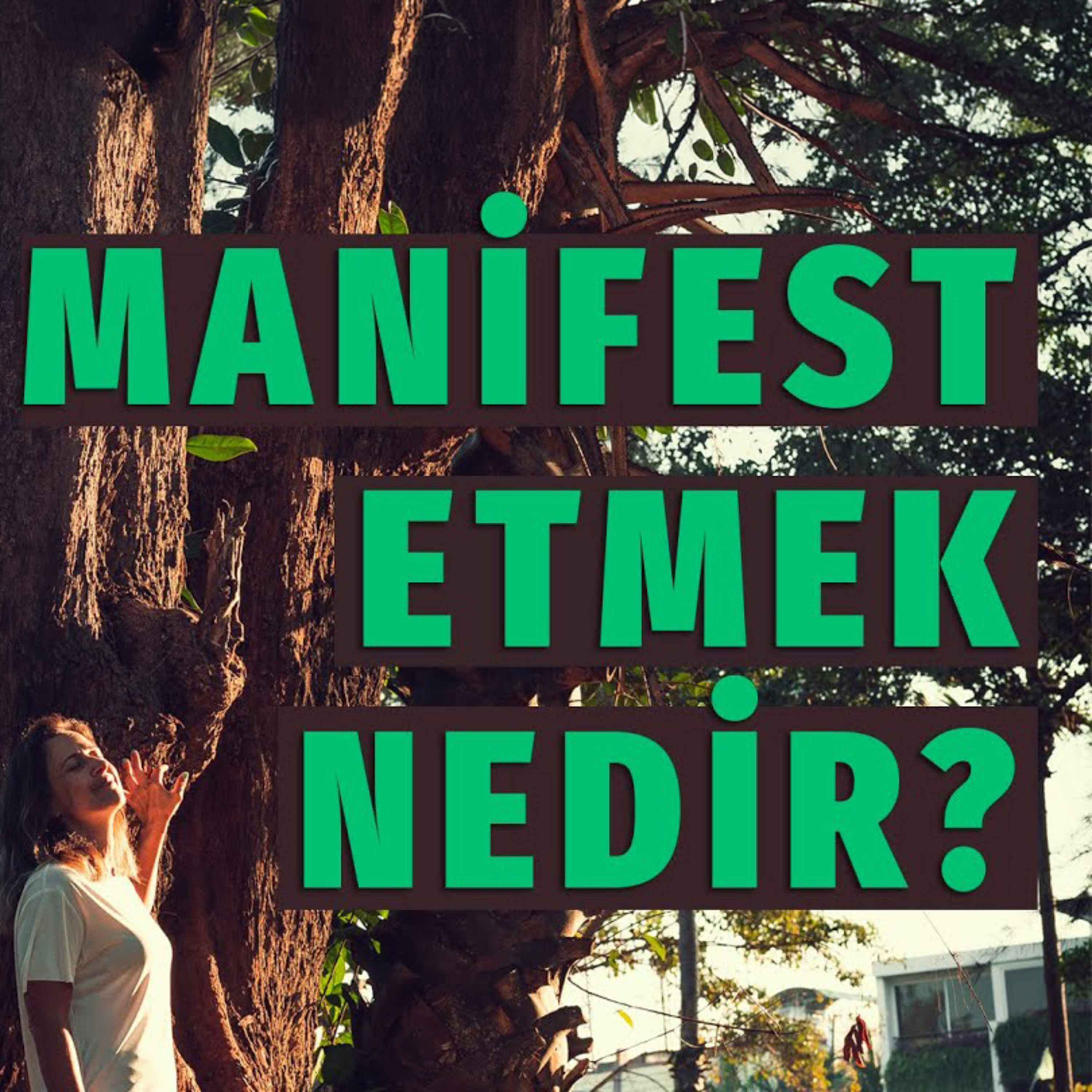 82- Manifest Etmeye Daha Derin Bir Bakış episode artwork