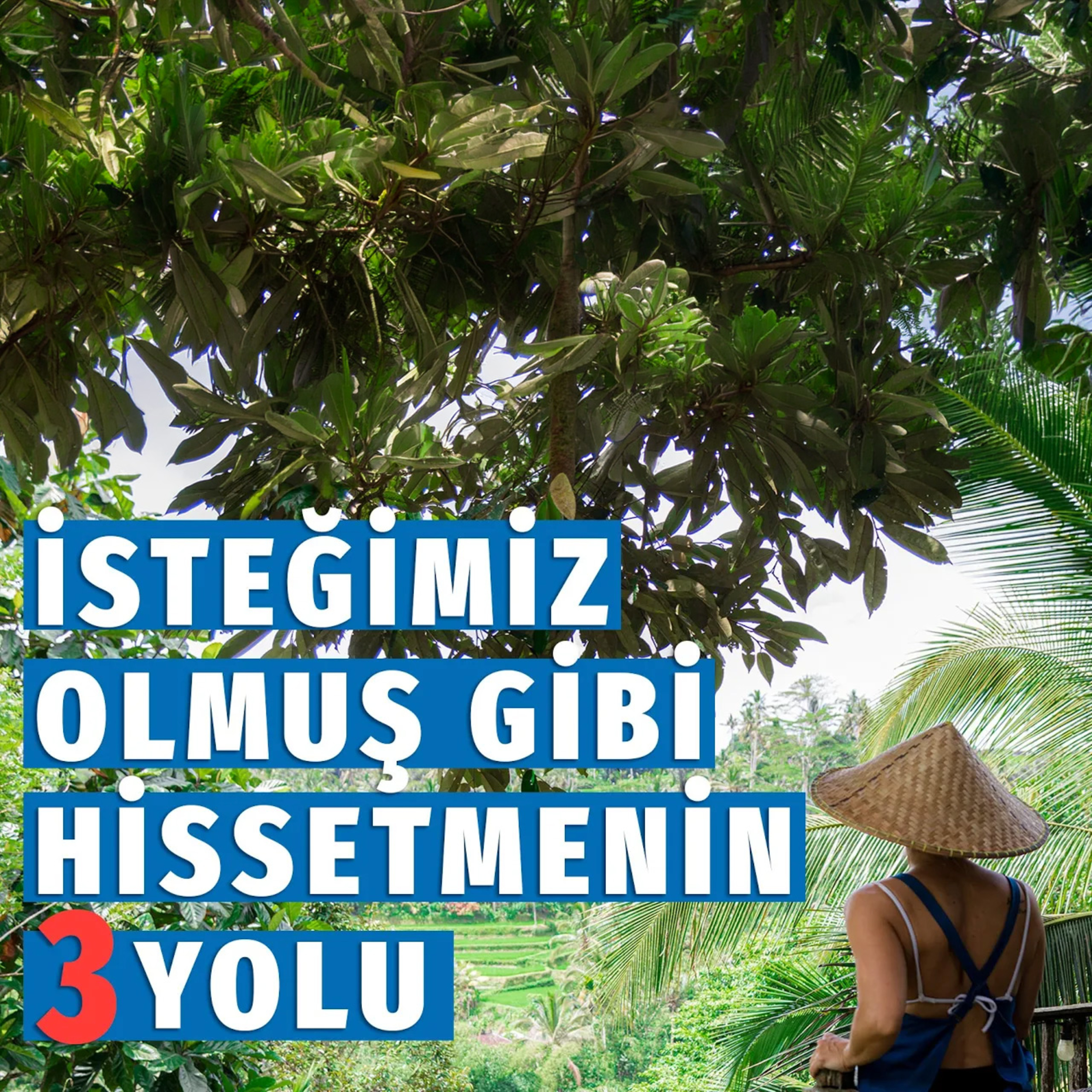 85- İstediğimiz Olmuş Gibi Hissetmenin 3 Yolu episode artwork