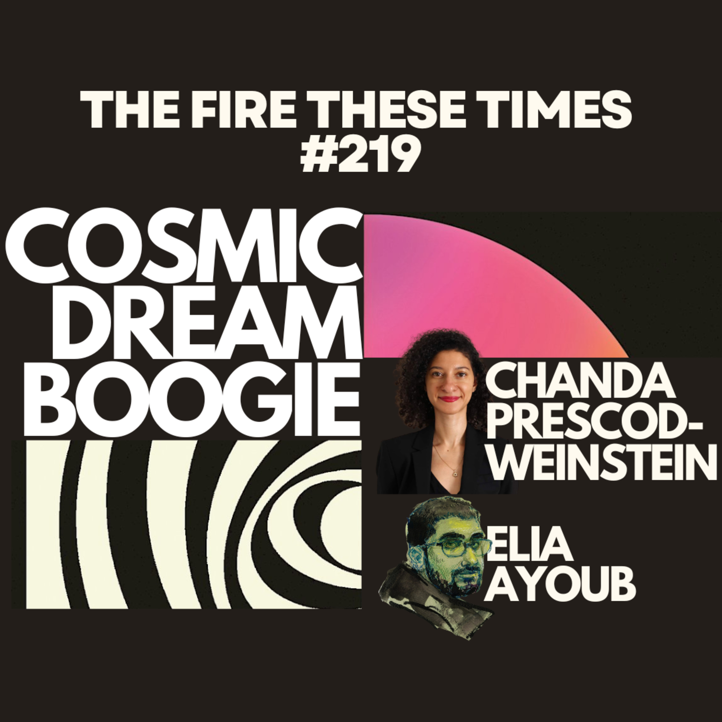 219/ Cosmic Dream Boogie w/ Chanda Prescod-Weinstein