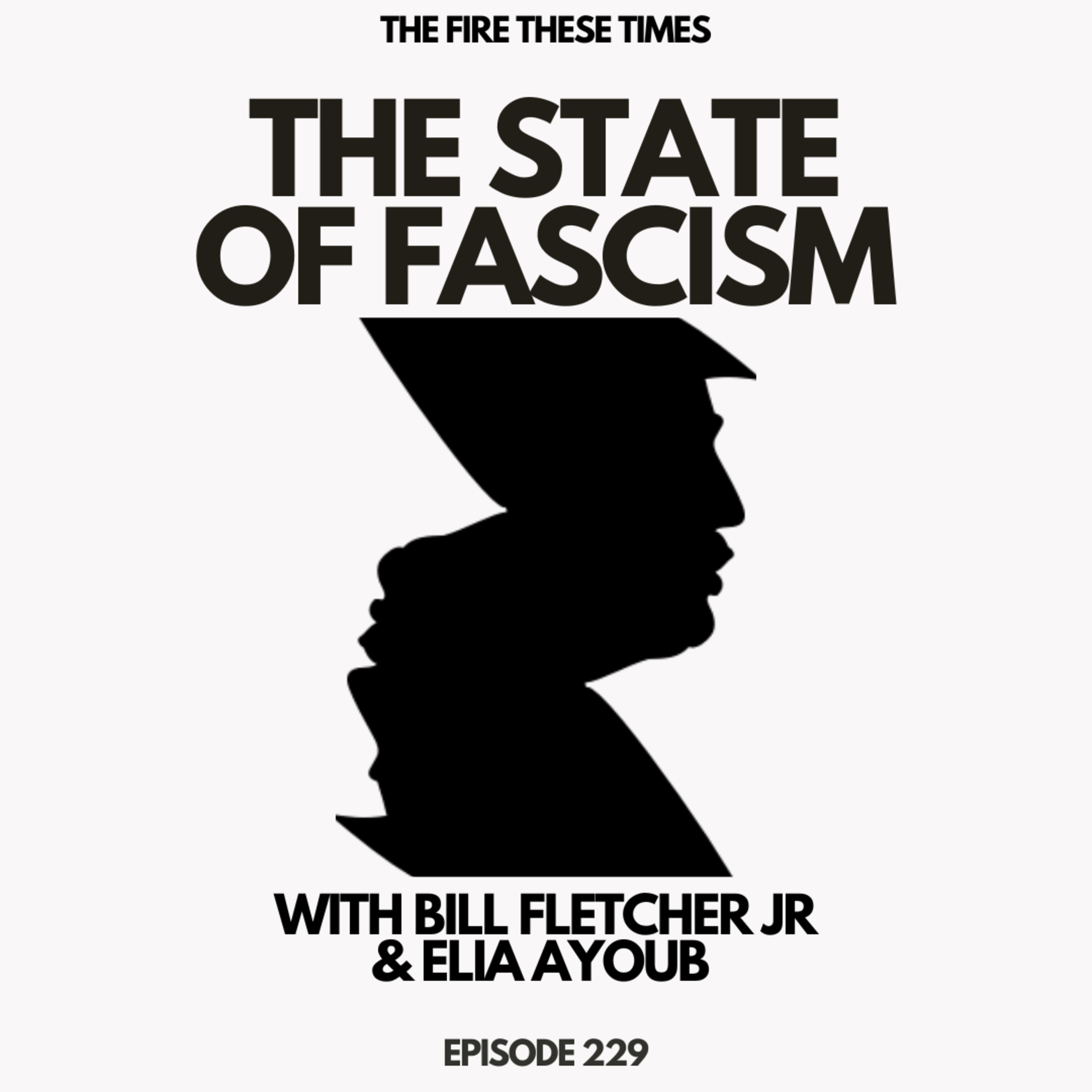 The State of Fascism w/ Bill Fletcher Jr (E229) episode artwork