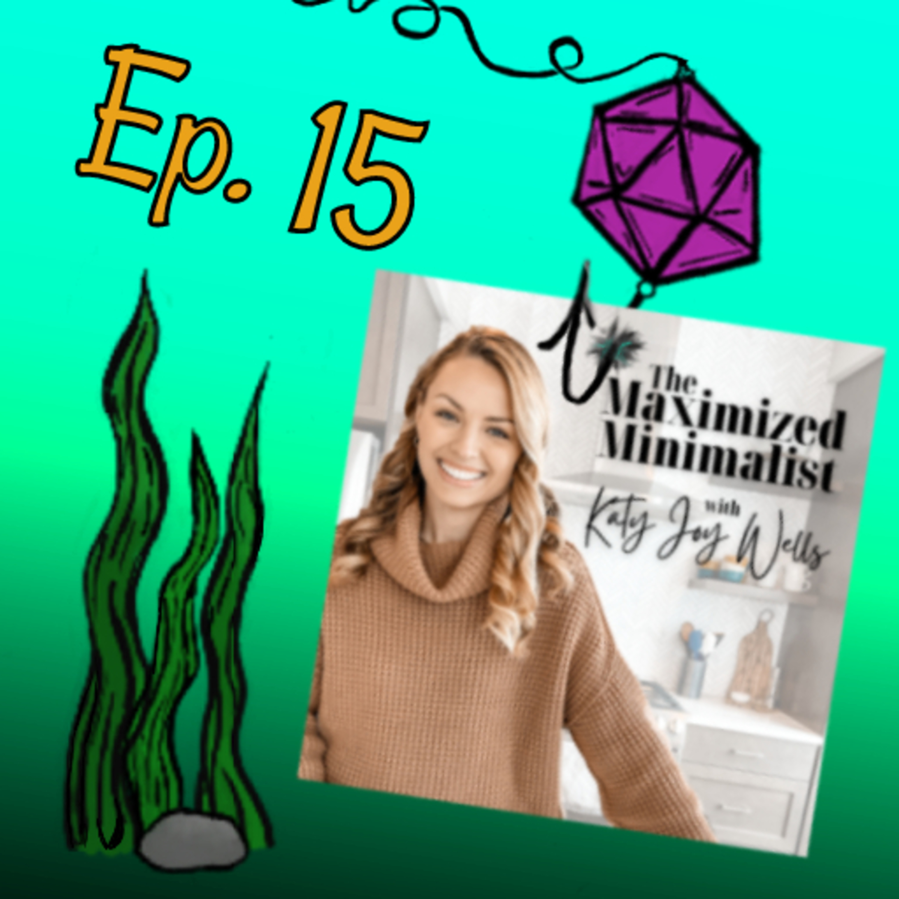 Episode 15: The Maximized Minimalist episode artwork