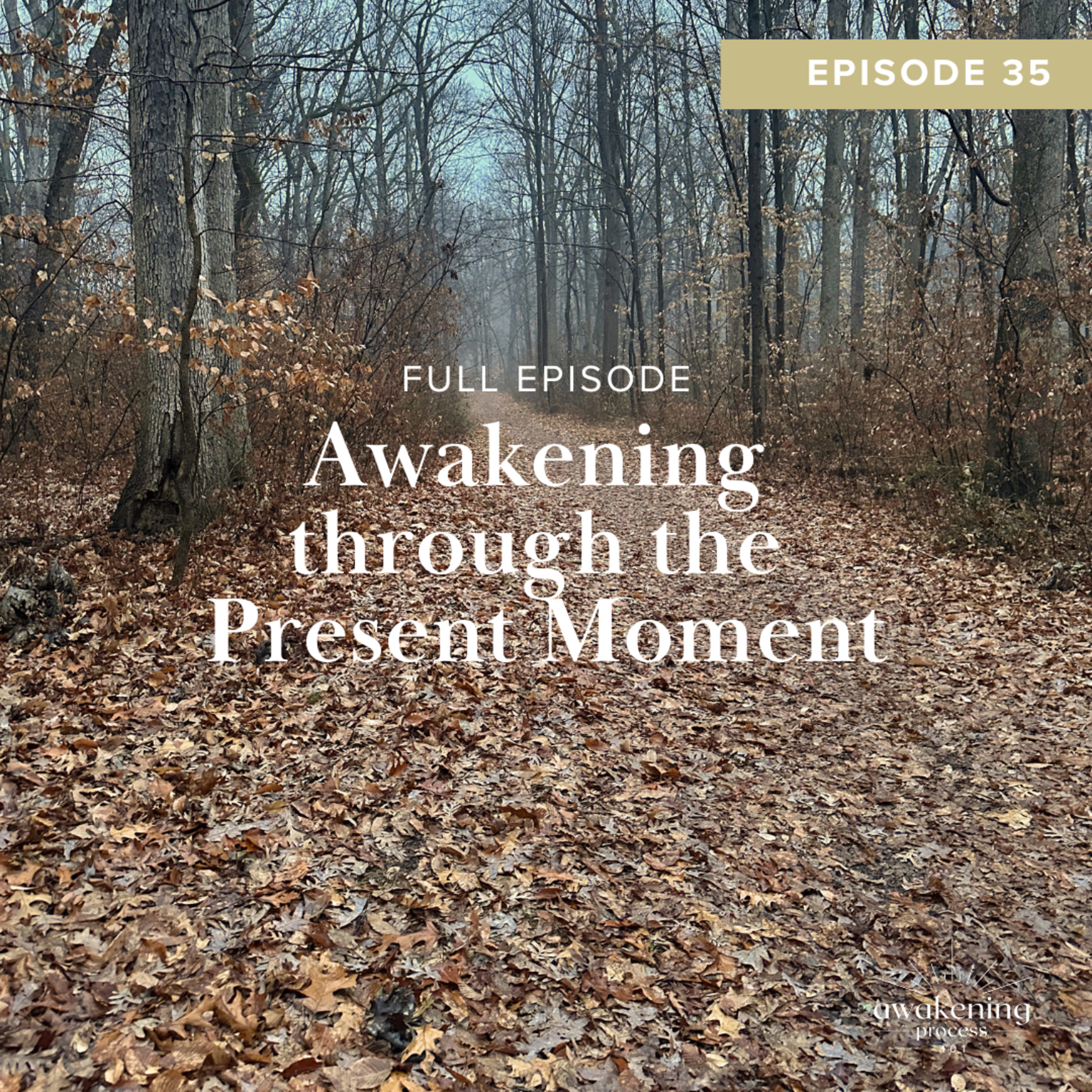 Awakening Process 101