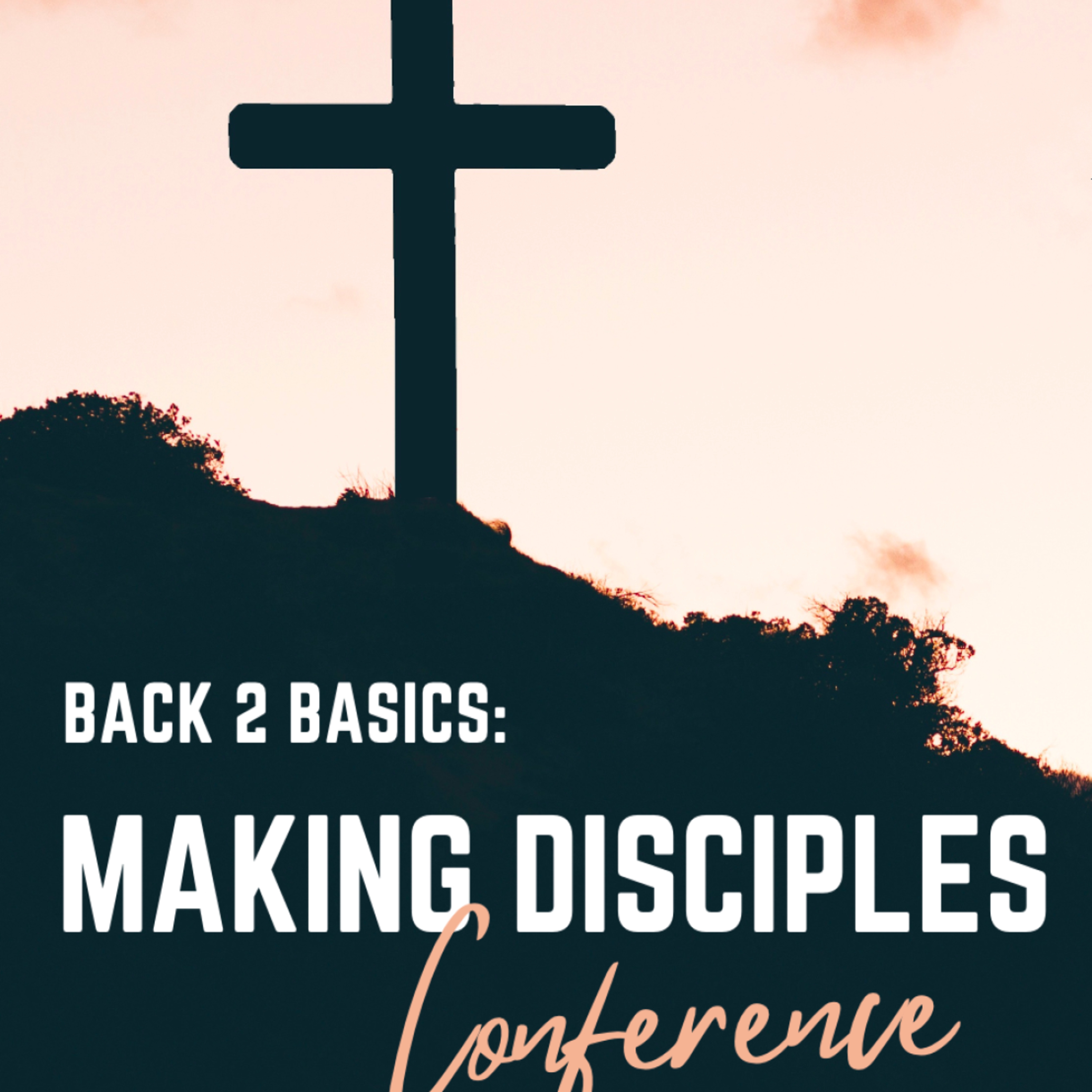 B2B Session 3: Obstacles in Disciple-Making episode artwork