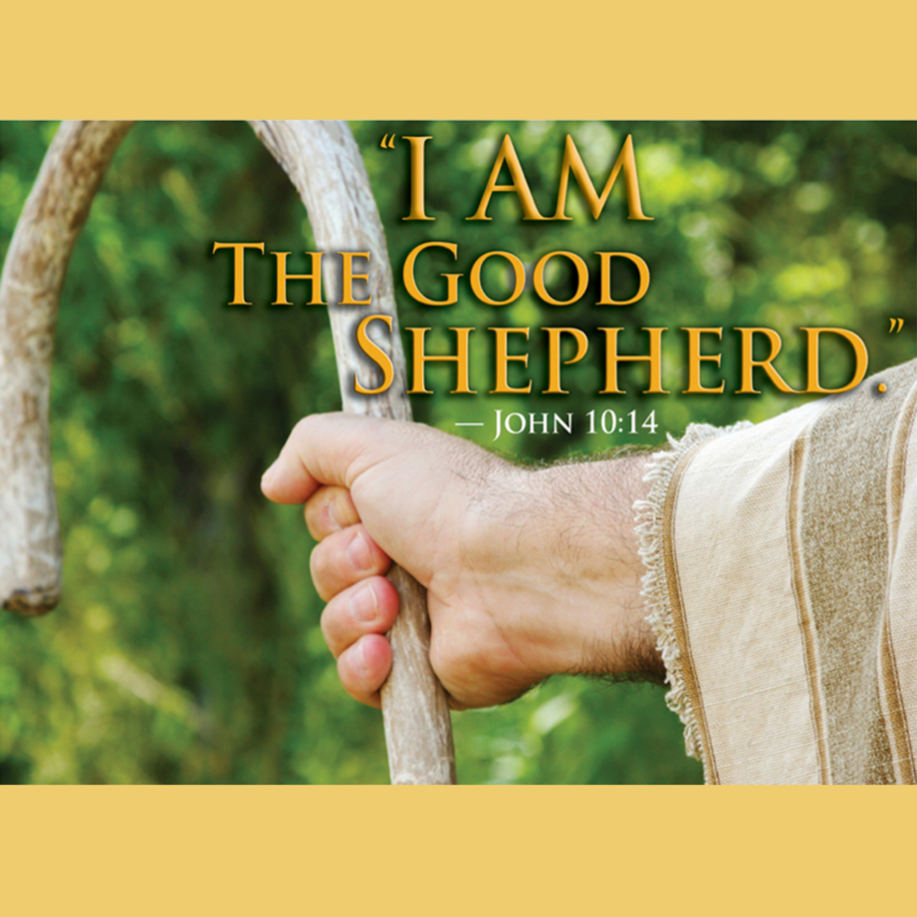 There is no other, Jesus is the Good Shepherd - 04-21-2024 - John 10:11-18 episode artwork