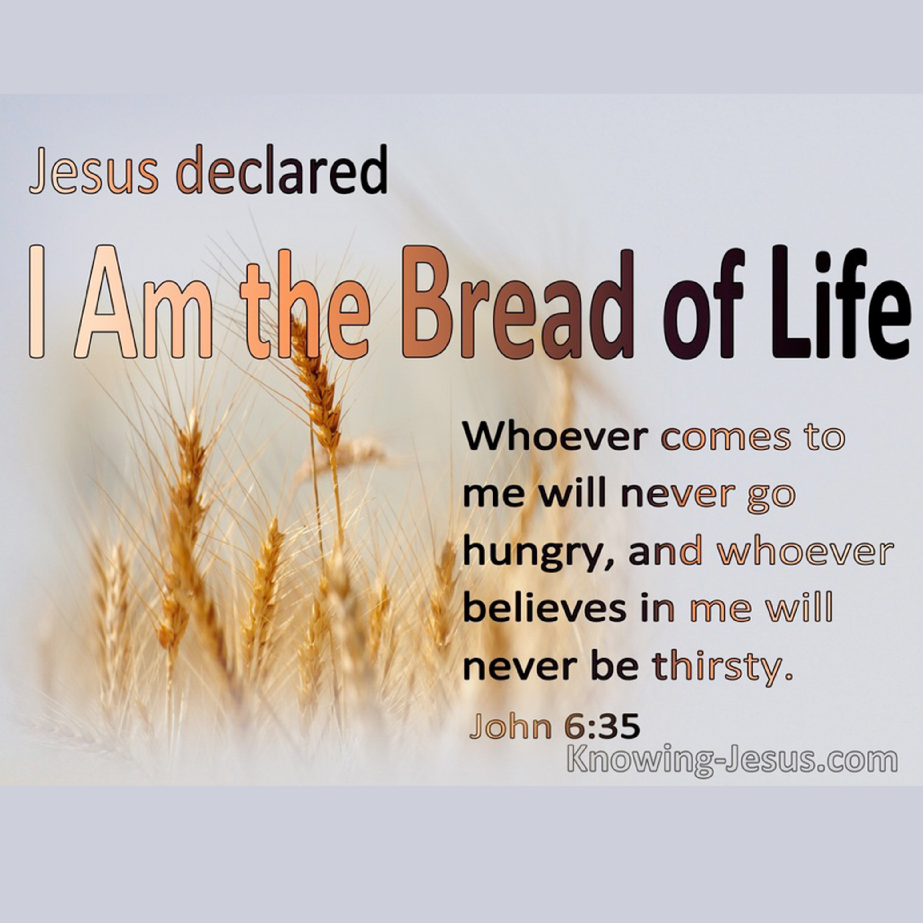 Jesus, Your Bread of Life - August 4, 2024 - John 6:22-35 episode artwork