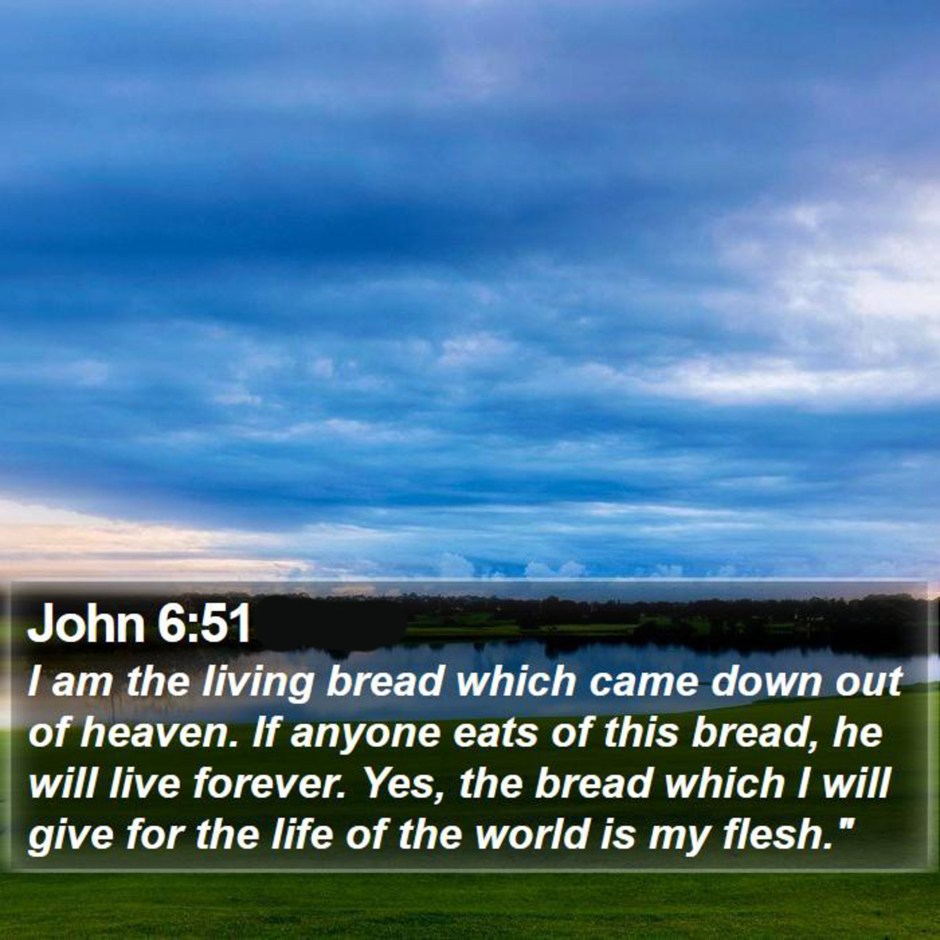 The Wisdom of God is the Bread Given for Eternal Life - 08.18.2024 - John 6:51-69 episode artwork