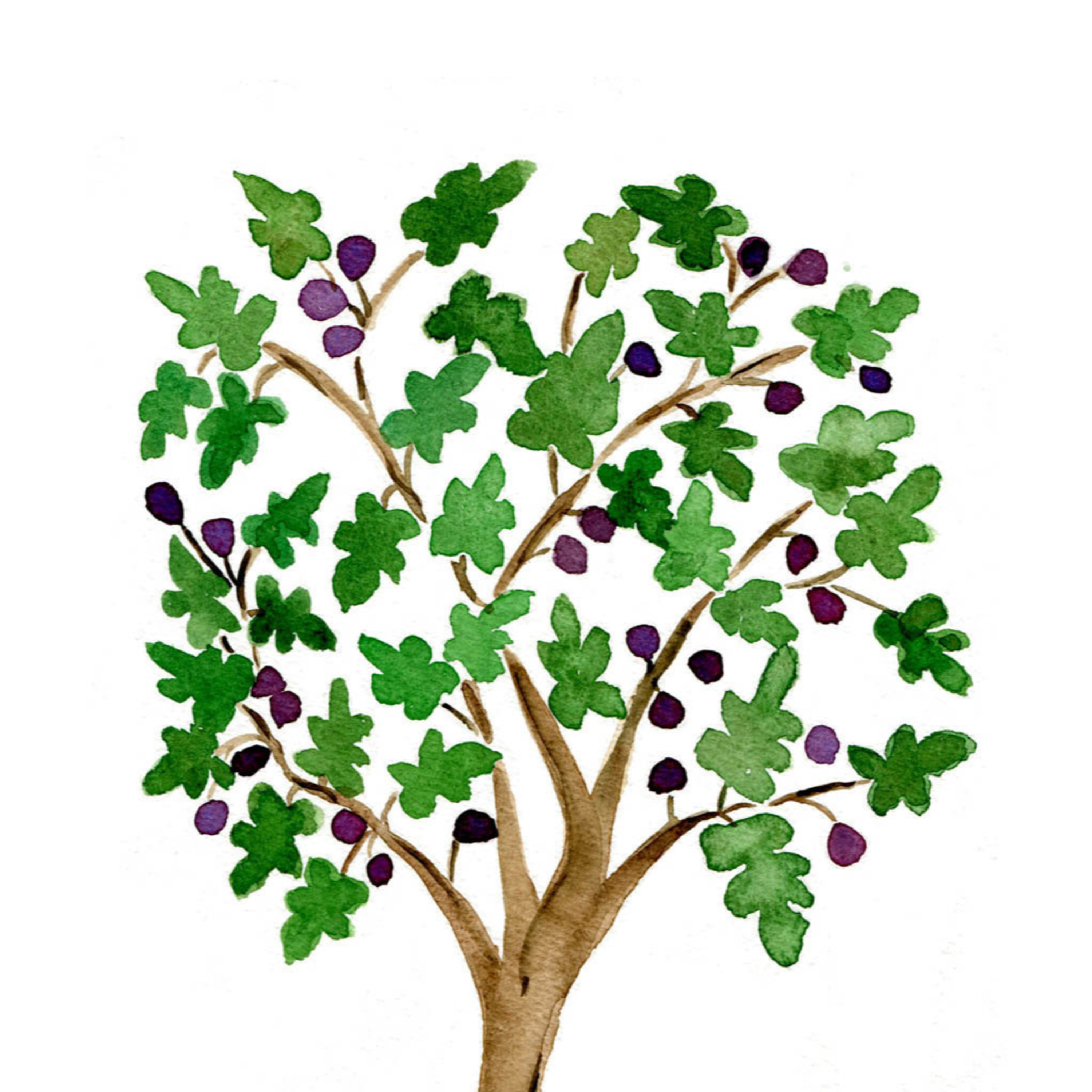 Learn from the Fig Tree, Christ Is Your Savior - 11.24.2024 - Mark 13:24-37 episode artwork