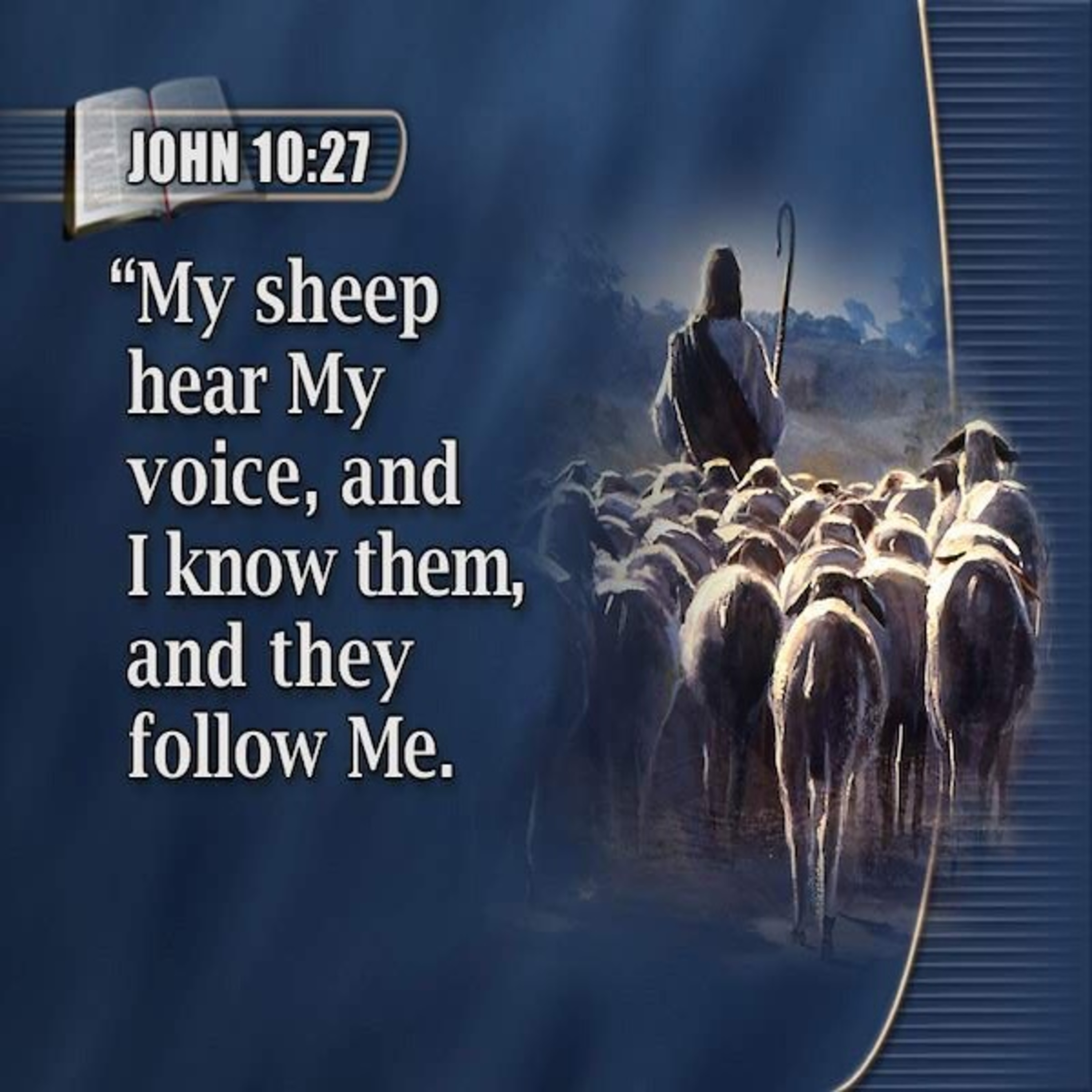 Elected - Not Rejected - 05.11.2025 - John 10:22-30 episode artwork