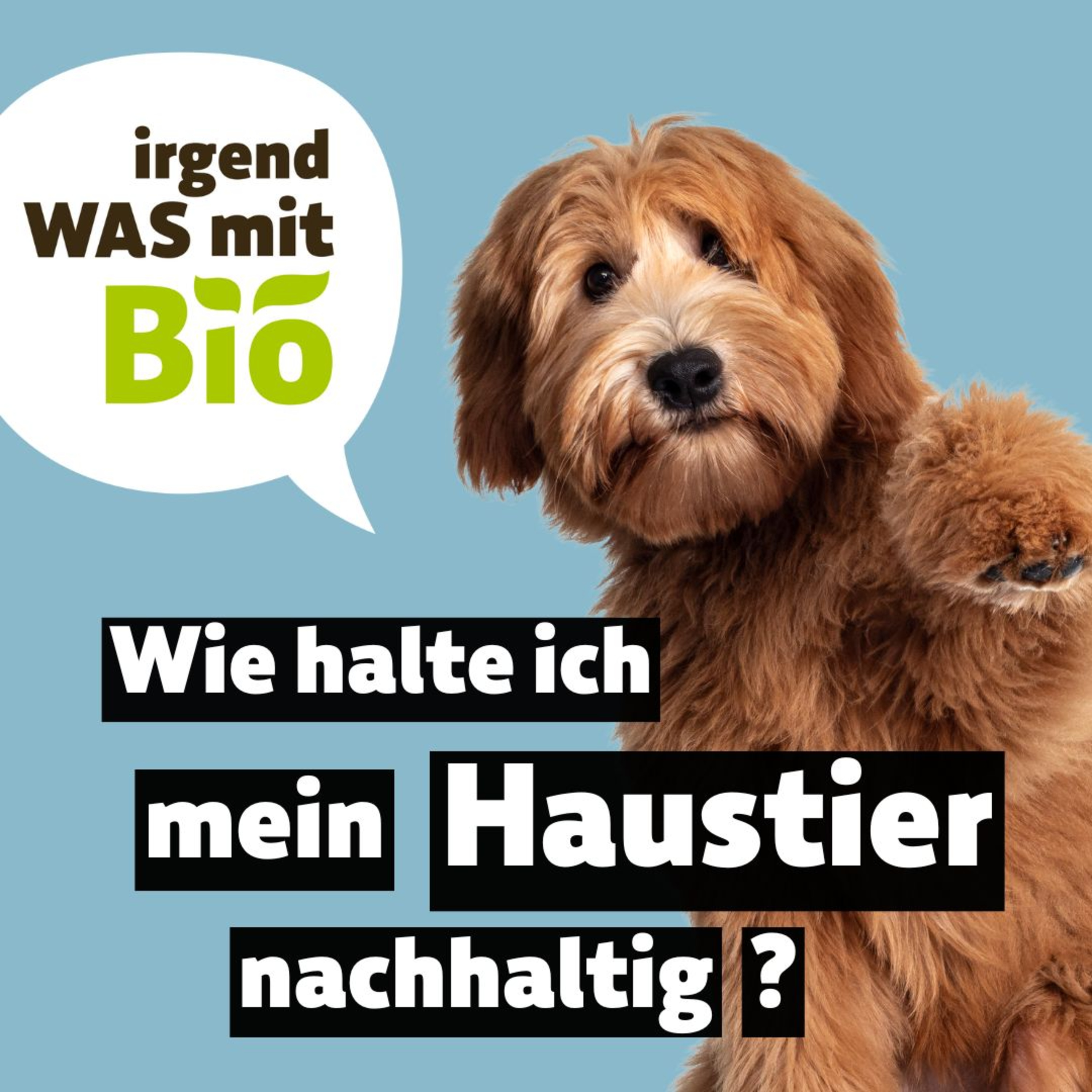 Irgendwas mit Bio - Der BioMarkt Podcast