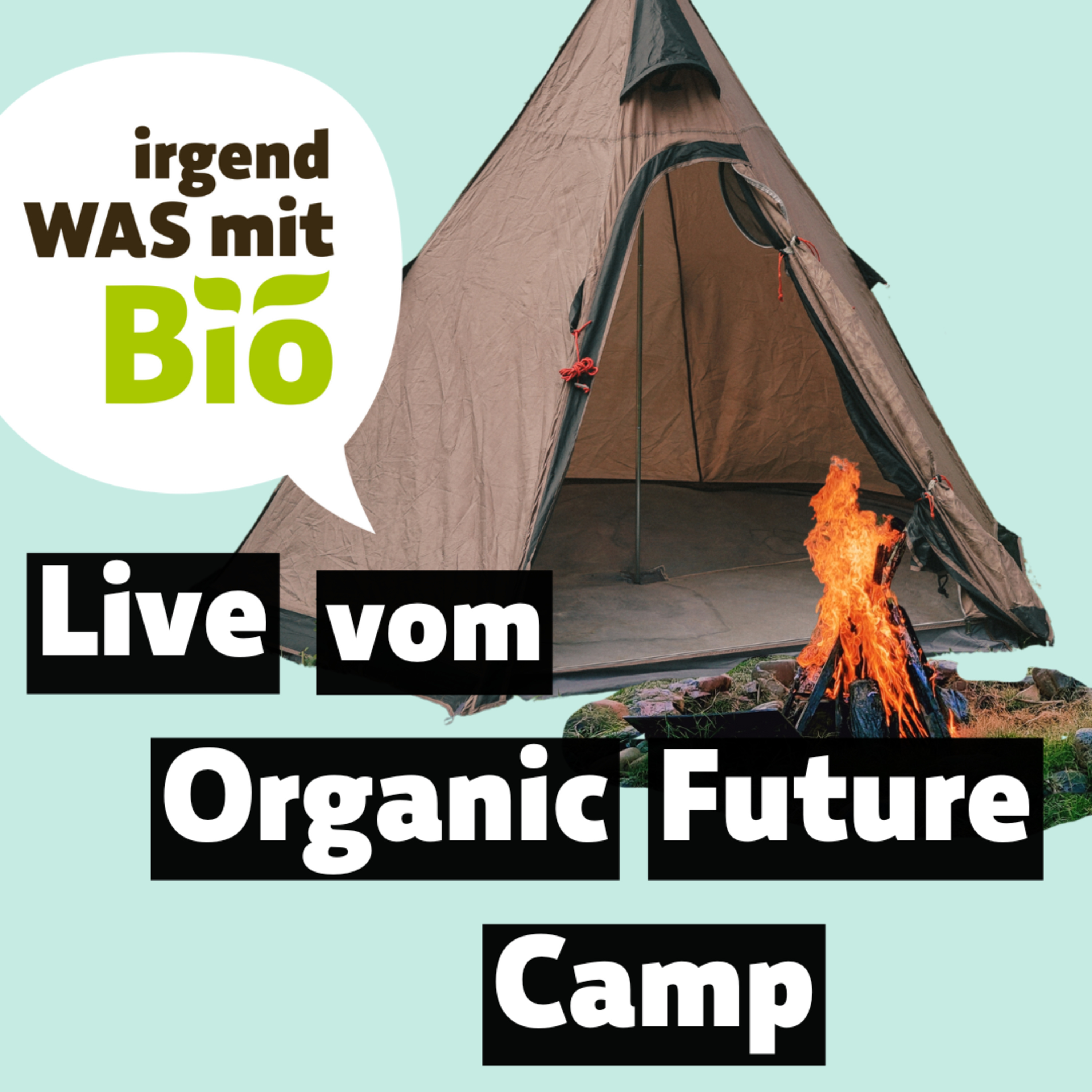 Irgendwas mit Bio - Der BioMarkt Podcast