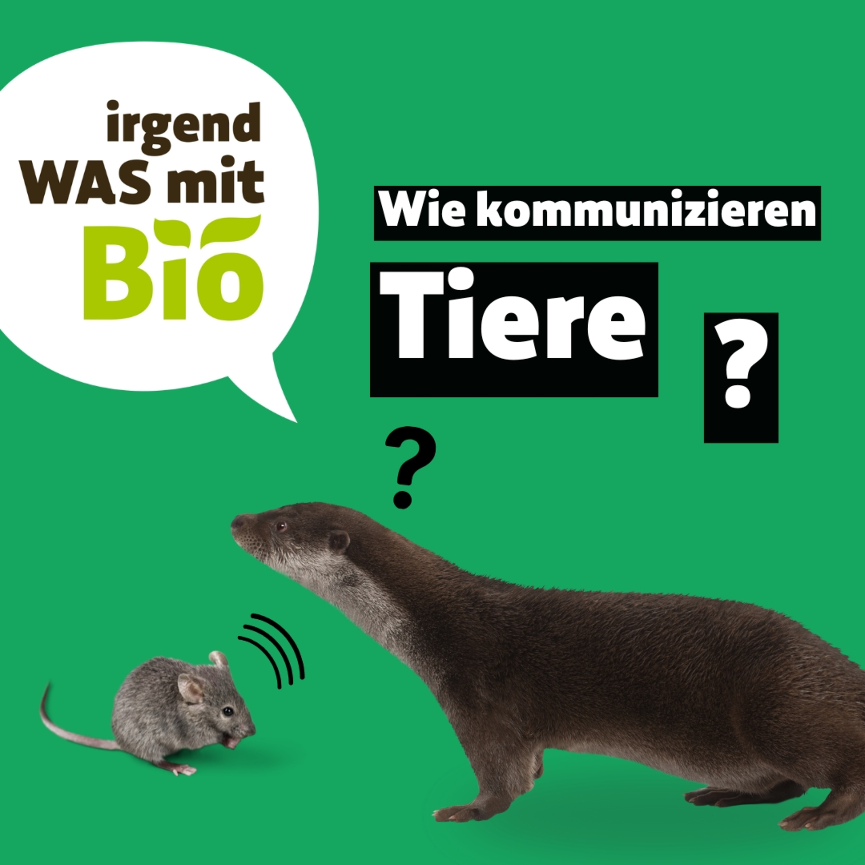 Irgendwas mit Bio - Der BioMarkt Podcast