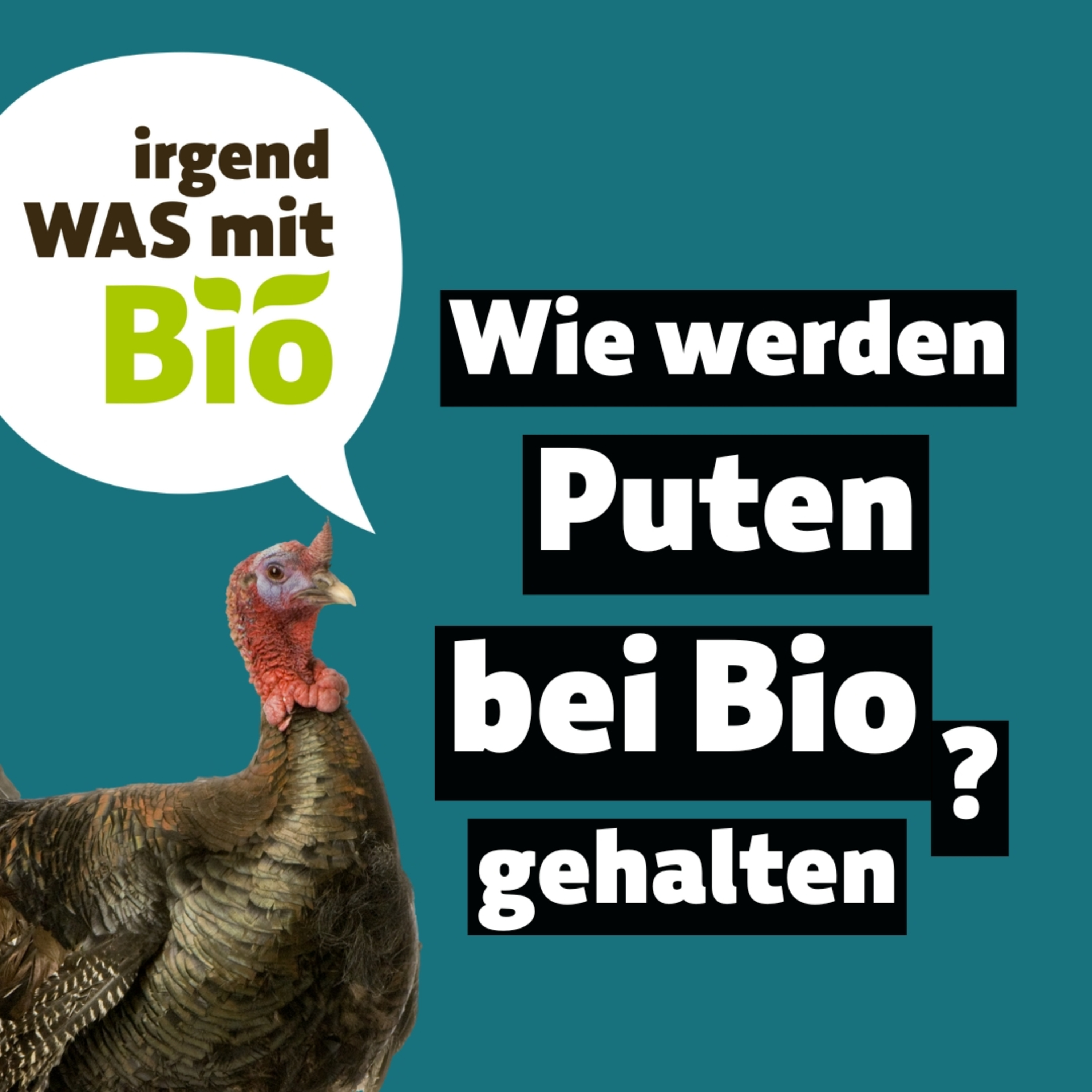 Irgendwas mit Bio - Der BioMarkt Podcast