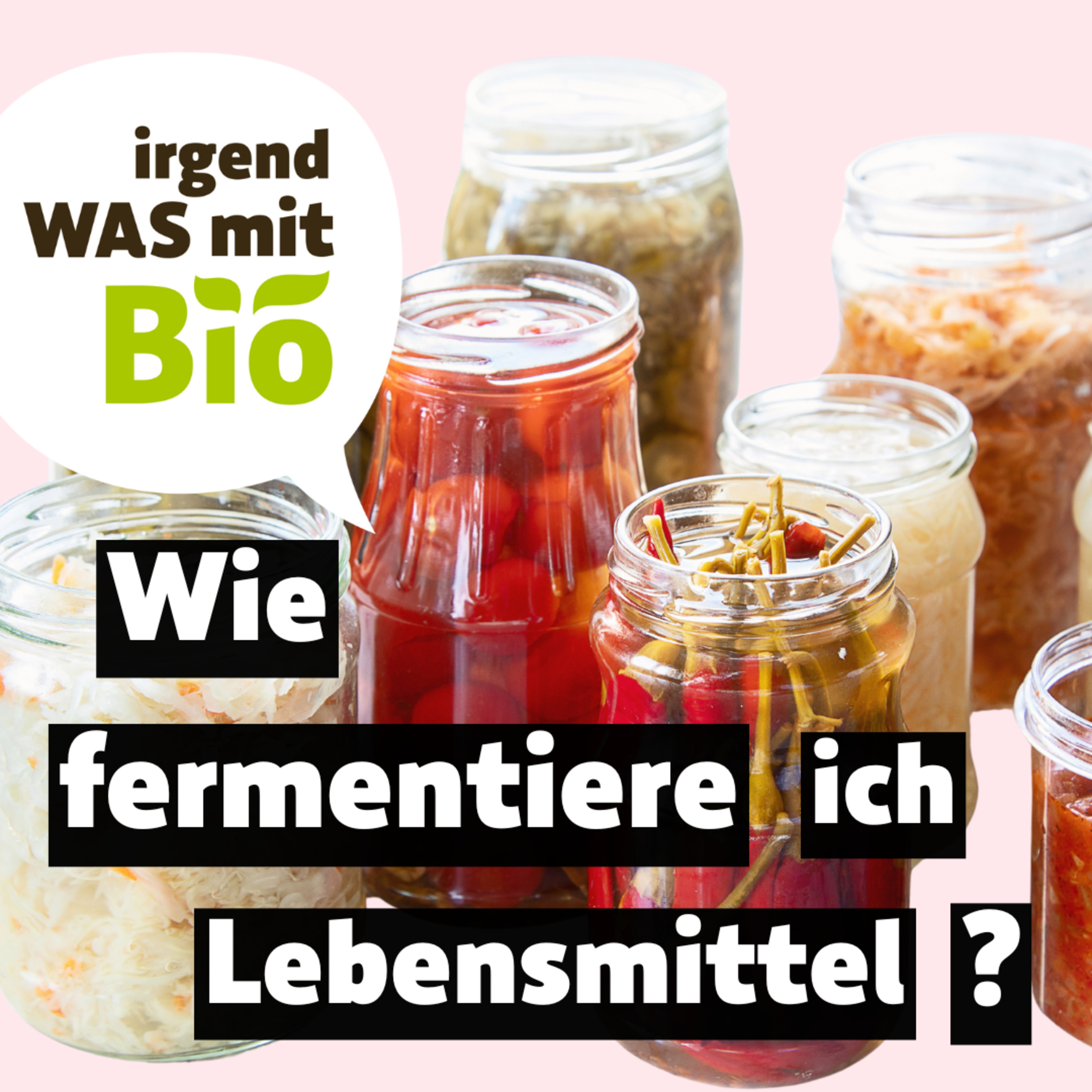 Irgendwas mit Bio - Der BioMarkt Podcast