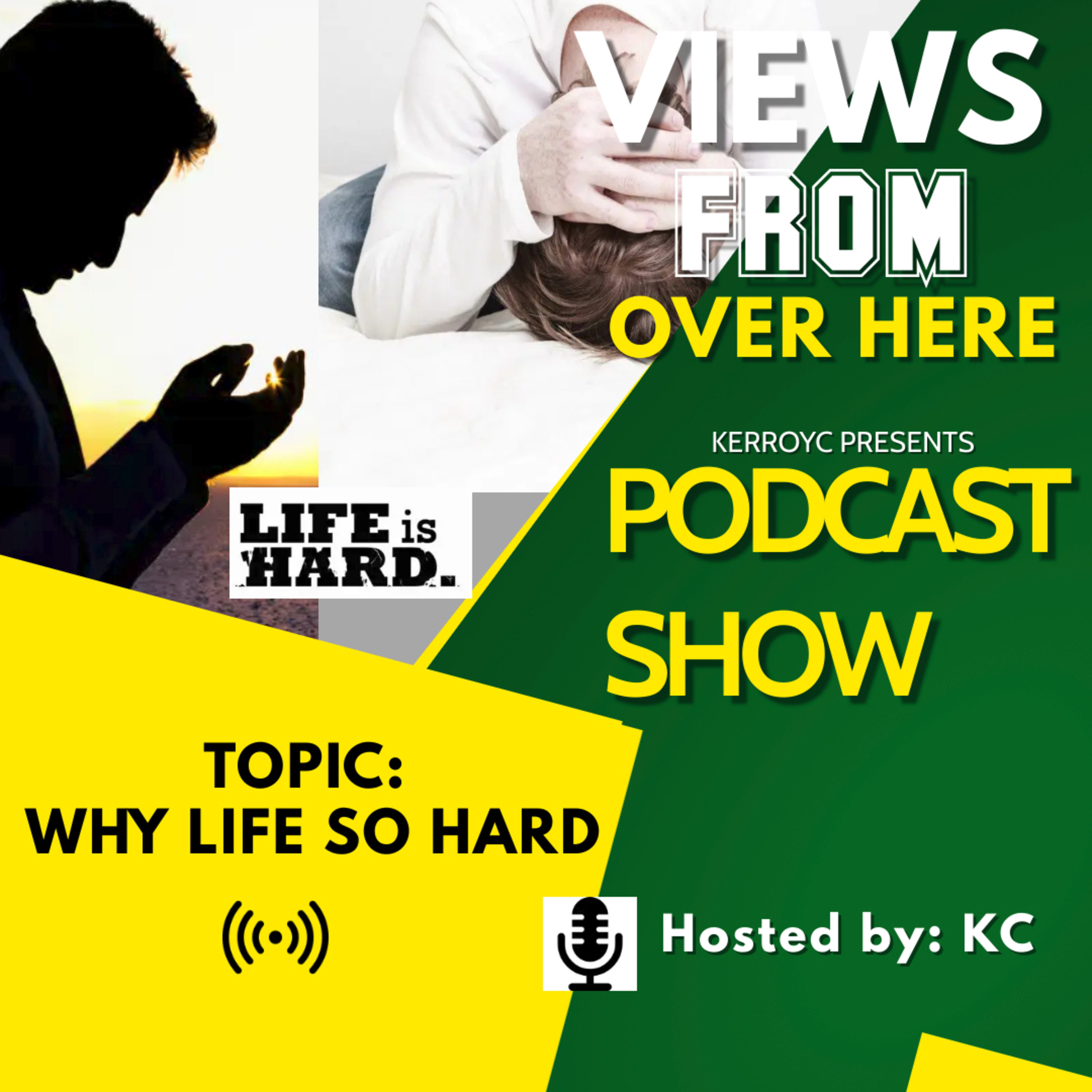 Why Life So Hard episode artwork