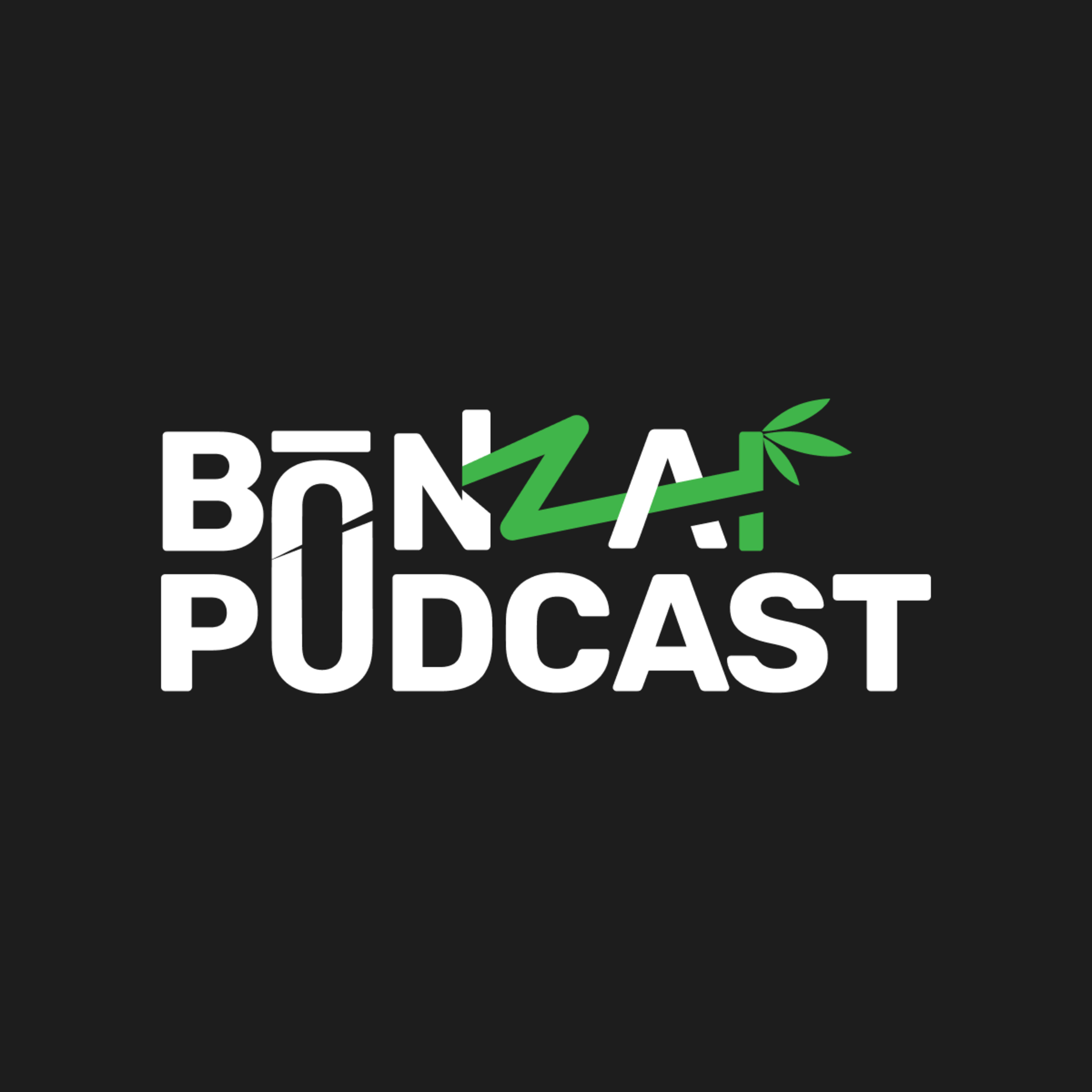 BONZAI Podcast. Episode 4: The Future of Generative AI in Business episode artwork