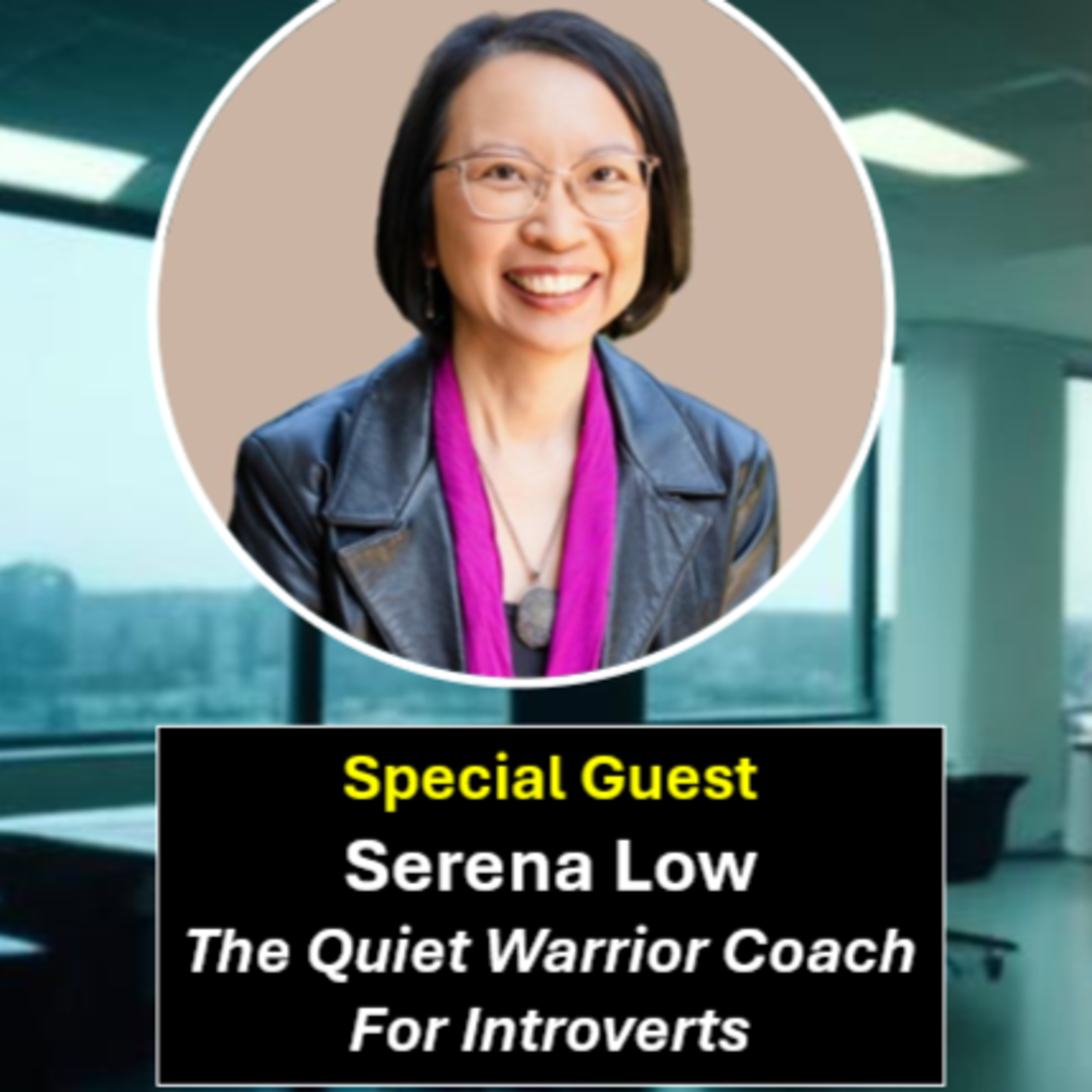 S10E04 - Quiet Ambition : How Introverts Can Succeed at Their Jobs episode artwork
