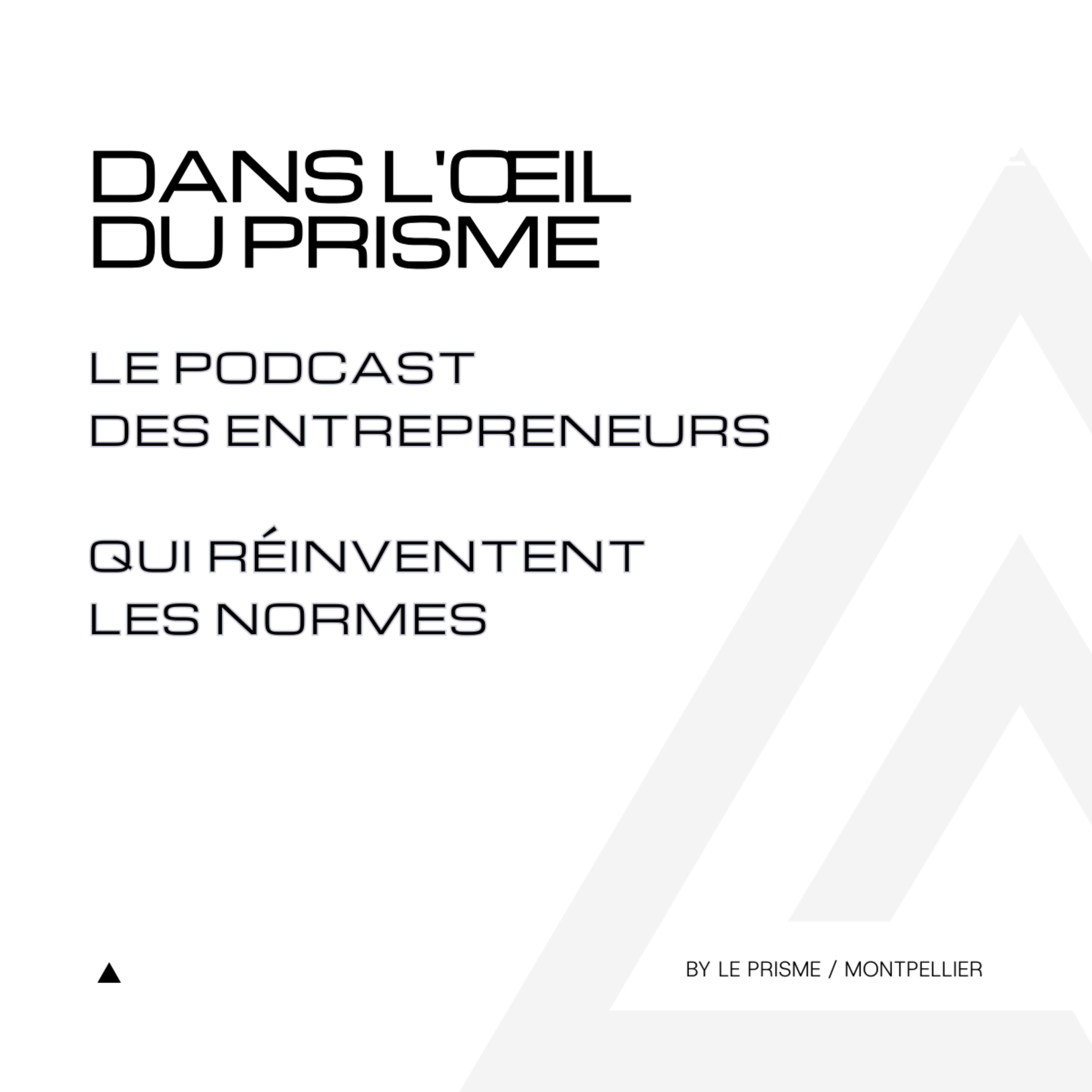 Dans l\'Oeil du Prisme - Réinventer les normes
