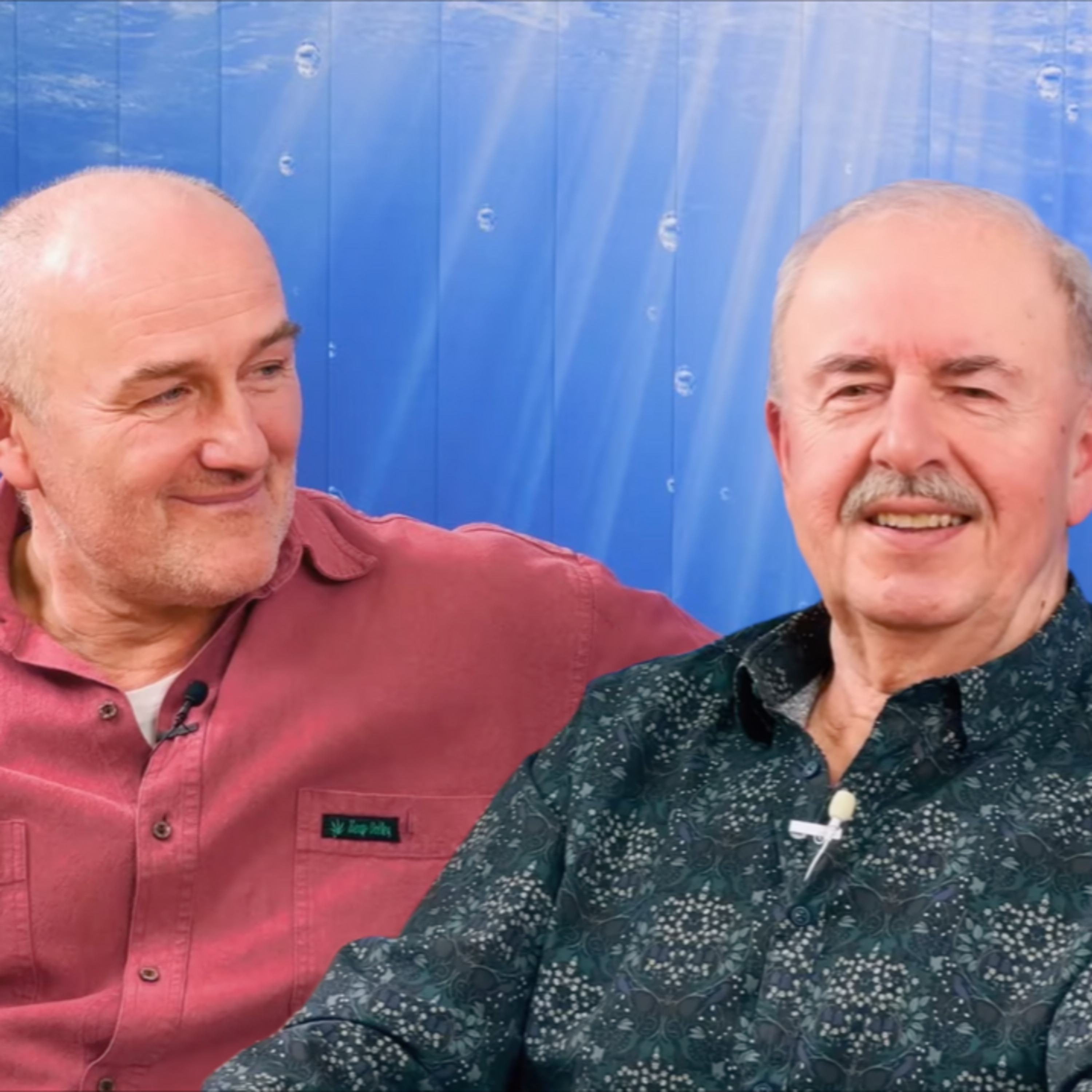 Richard Stříbrný a Jozef Púry, Zdraví v teorii a praxi - Panna: Břicho, střeva a nervový systém episode artwork