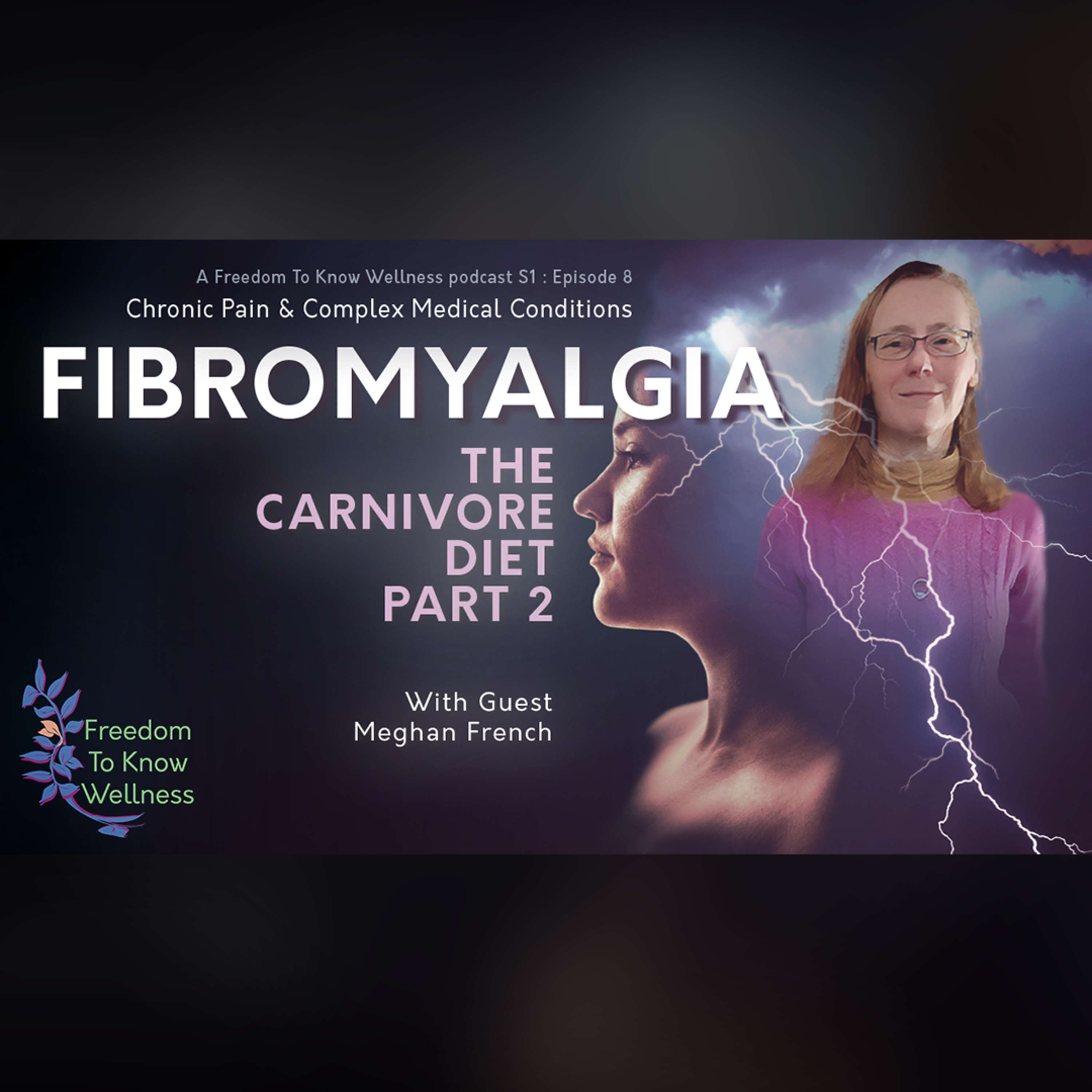 S1:Ep 8 | Part 2 - Fibromyalgia and the Carnivore Diet with guest Meghan French (UPDATE) episode artwork