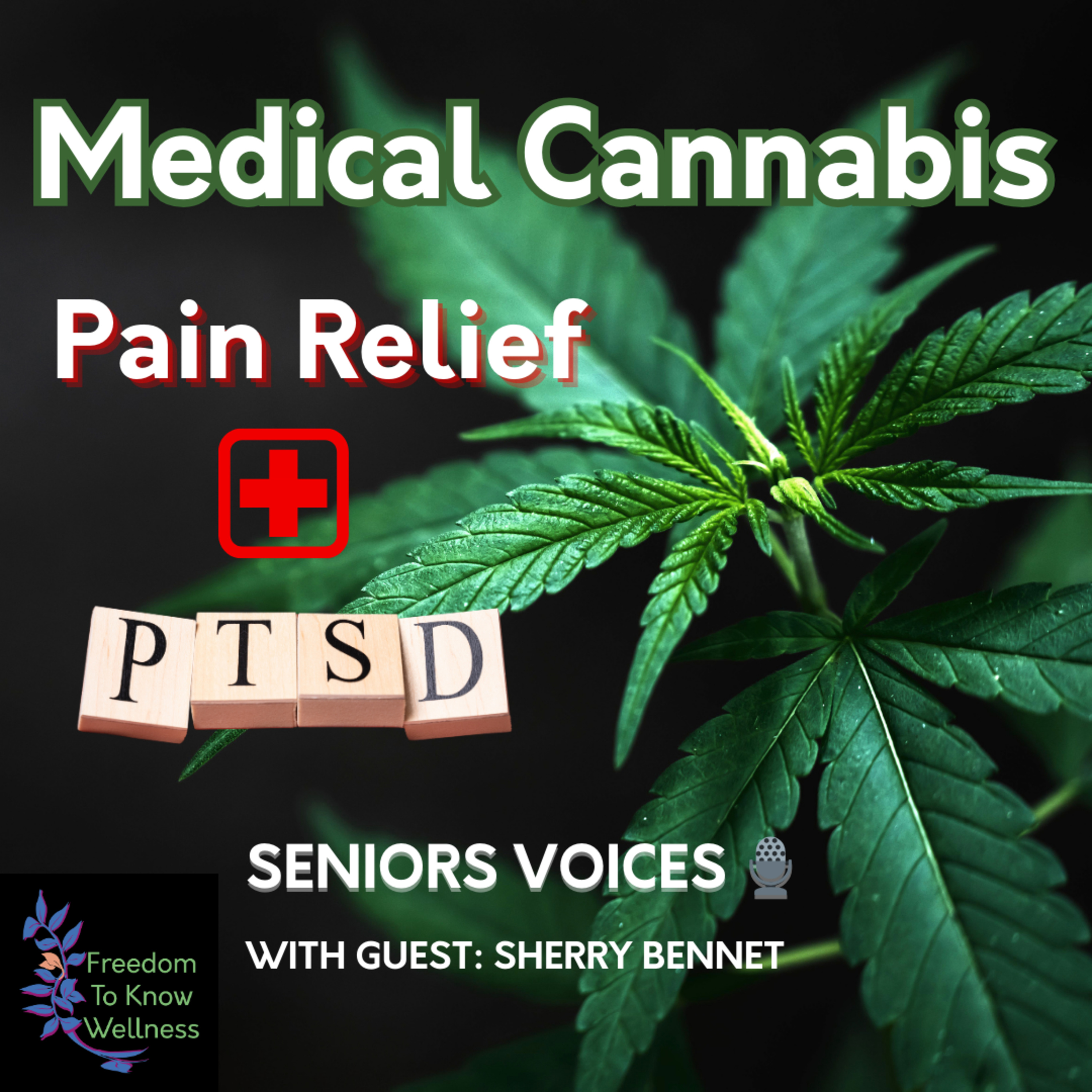 Medical Cannabis Pain Relief + PTSD | FTKWellness Seniors Voices S1 (ep.4) episode artwork