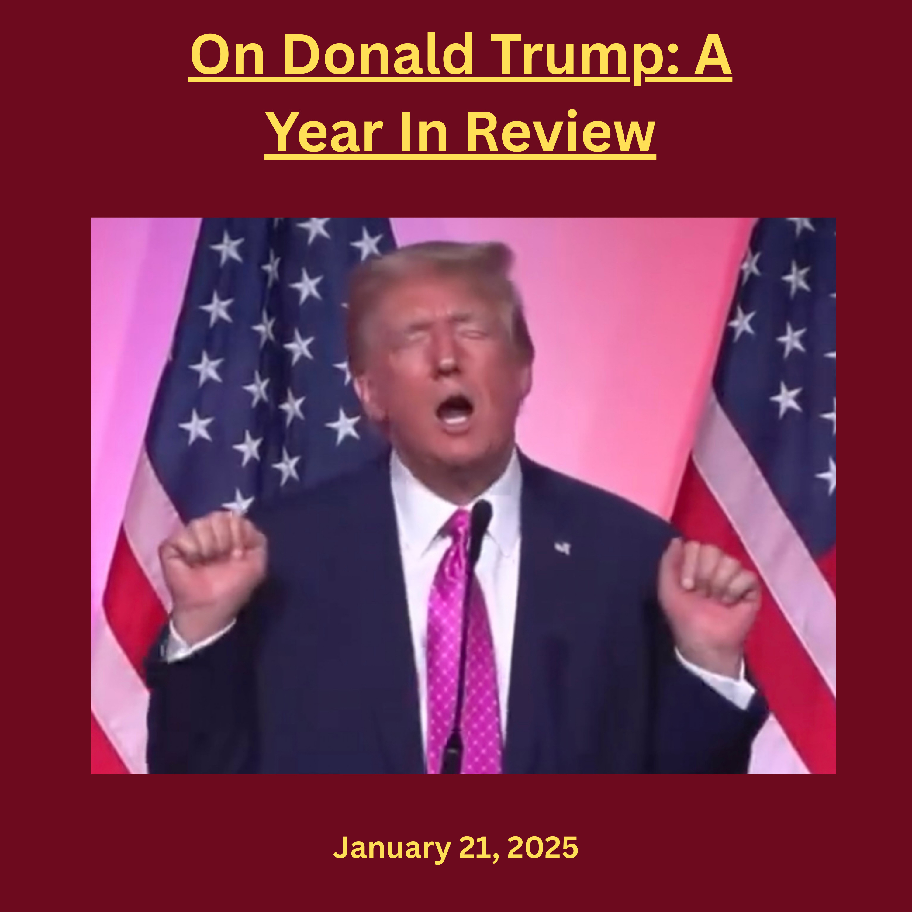 On Donald Trump: A Year In Review