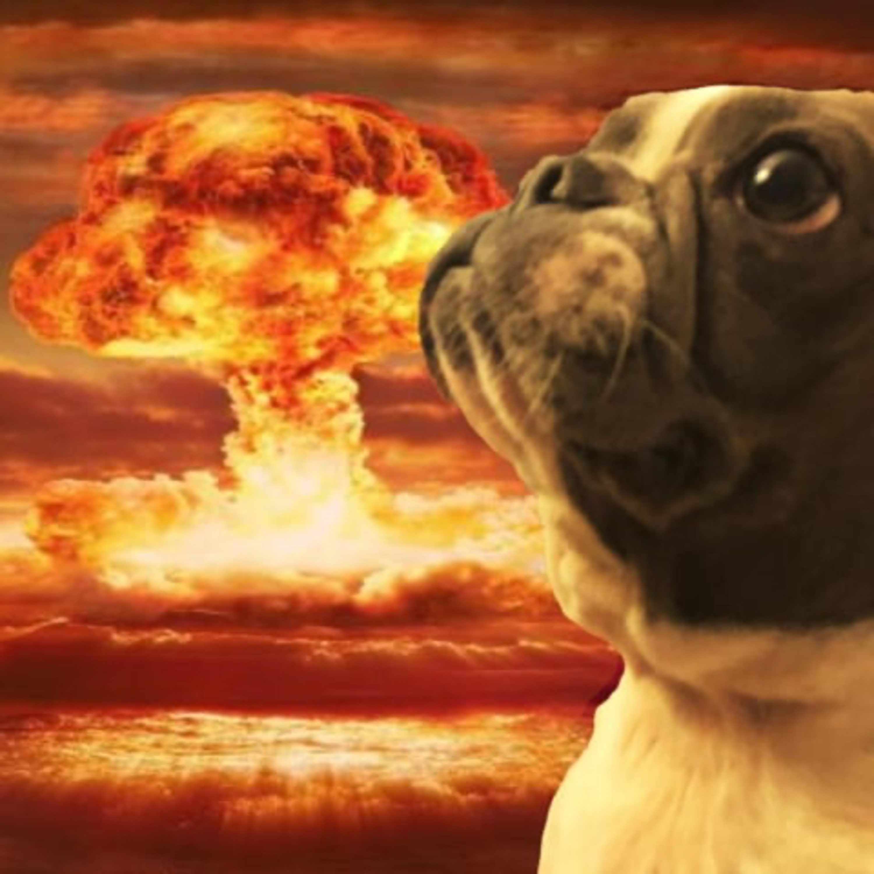 [EP 401] Late Night with Dogg episode artwork