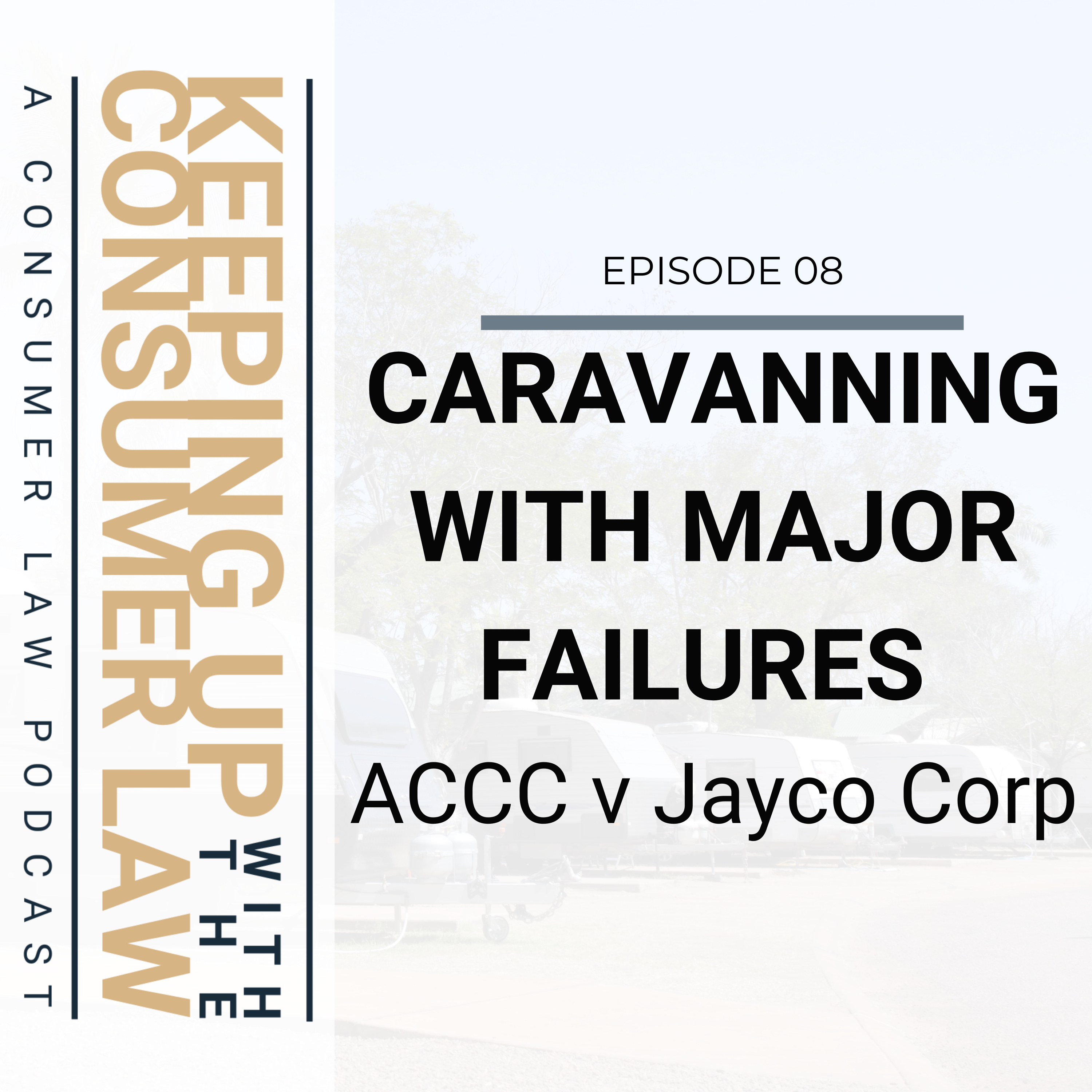 Keeping Up with the Consumer Law