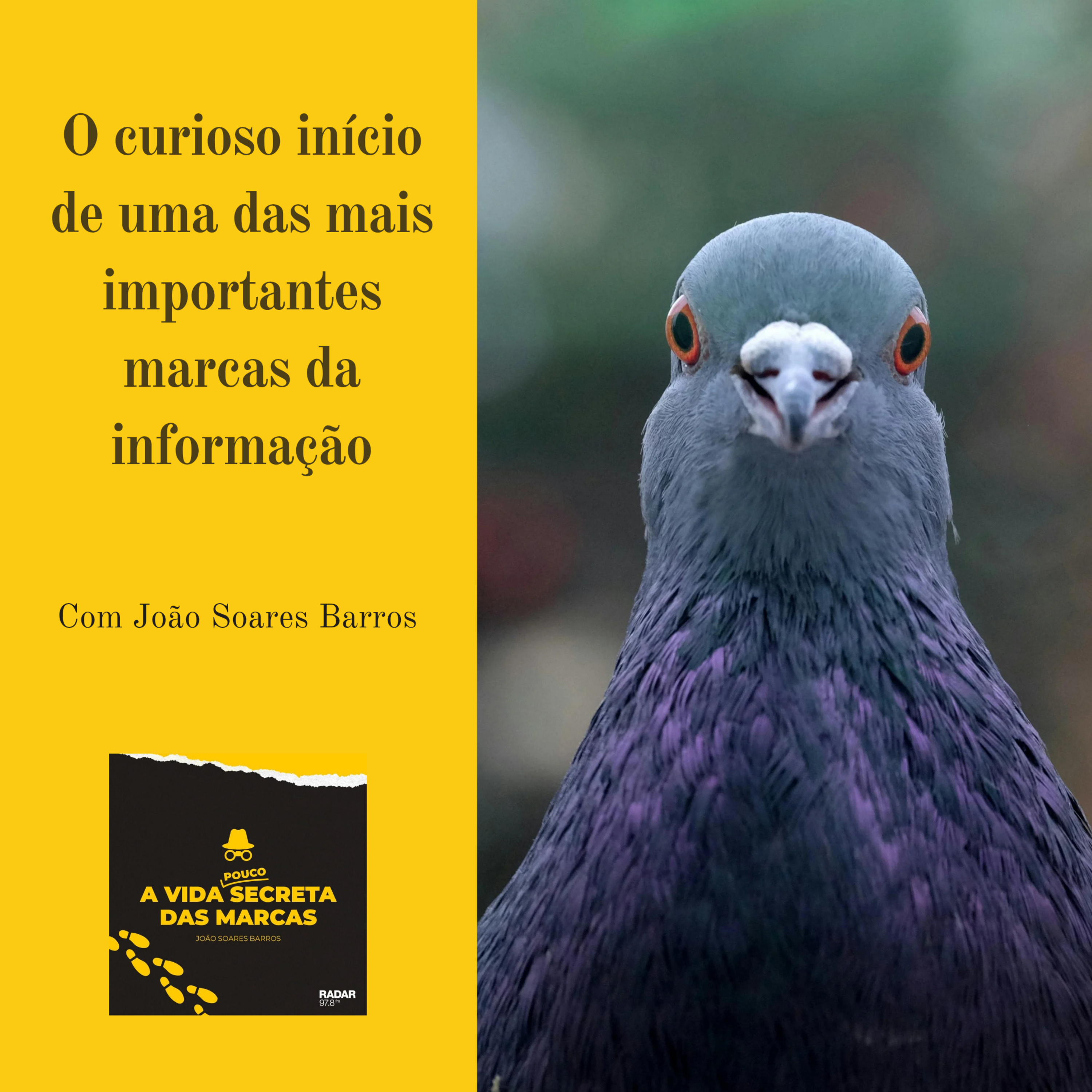 139 - Os pombos da Reuters episode artwork