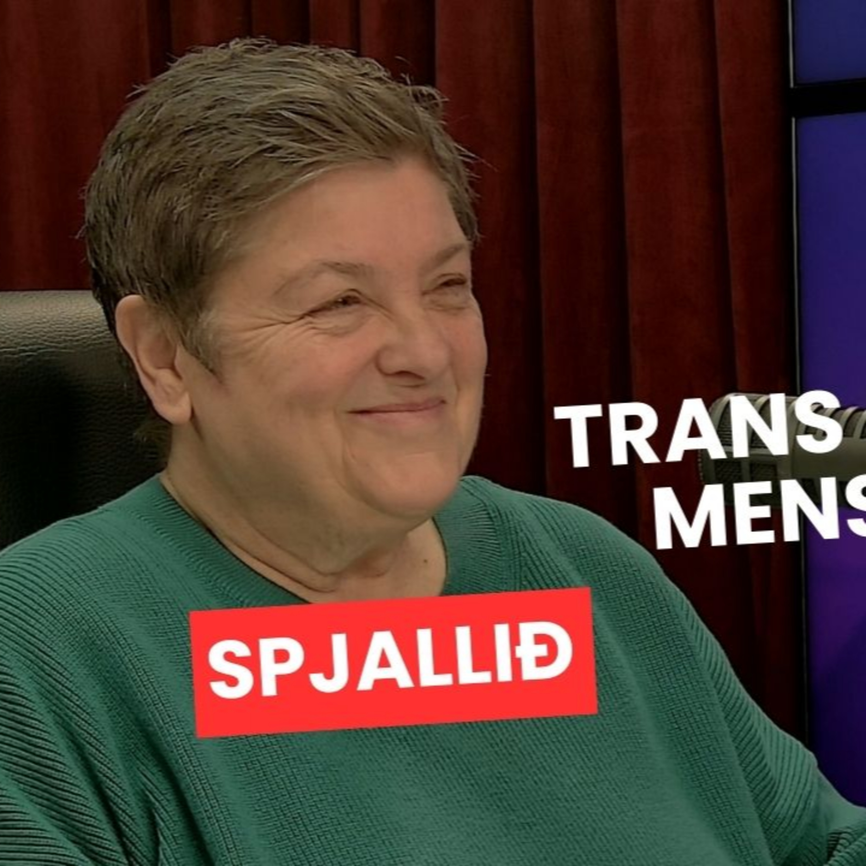 Julie Bindel in Iceland: Feminist Organizations Refused to Meet Her episode artwork