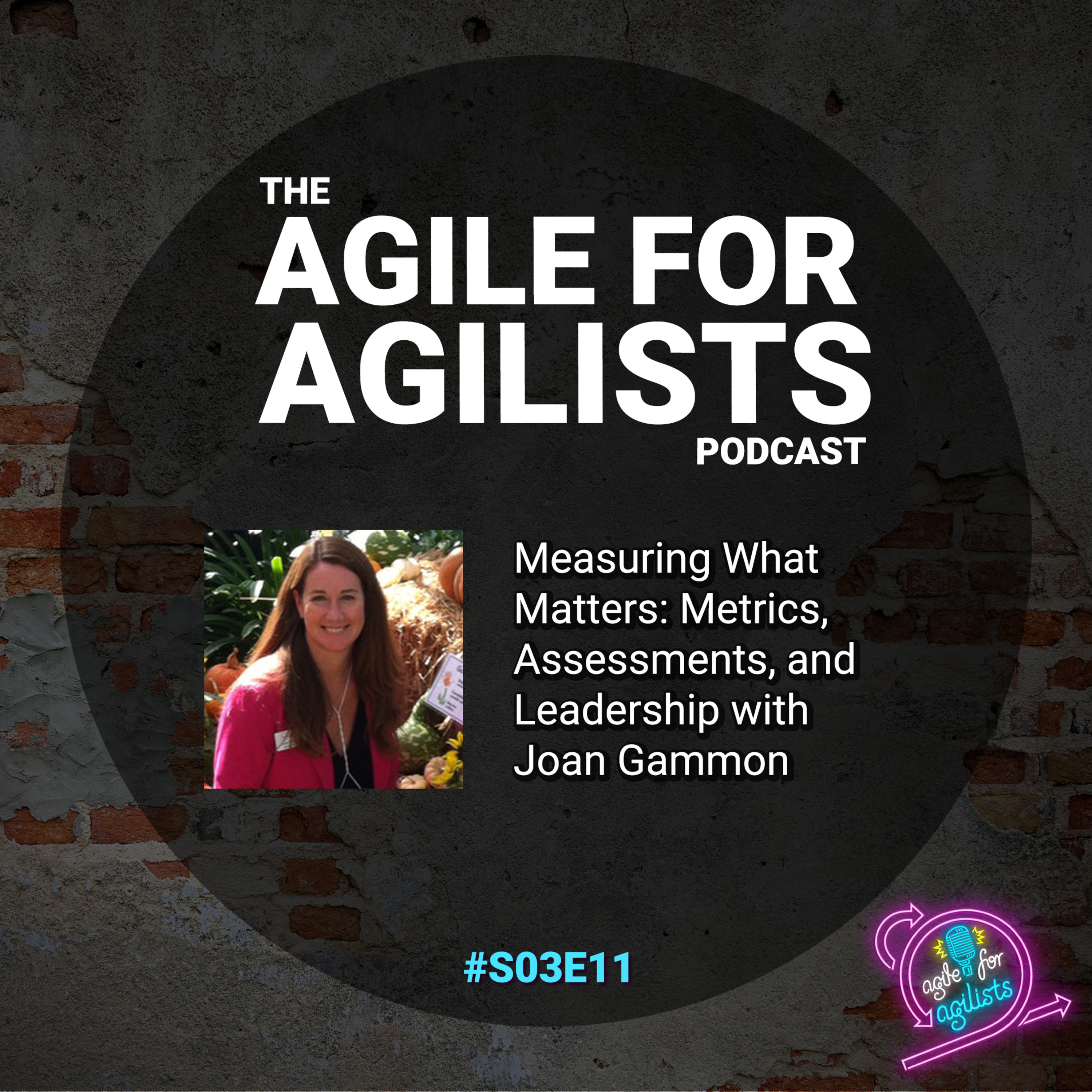 The Agile For Agilists Podcast