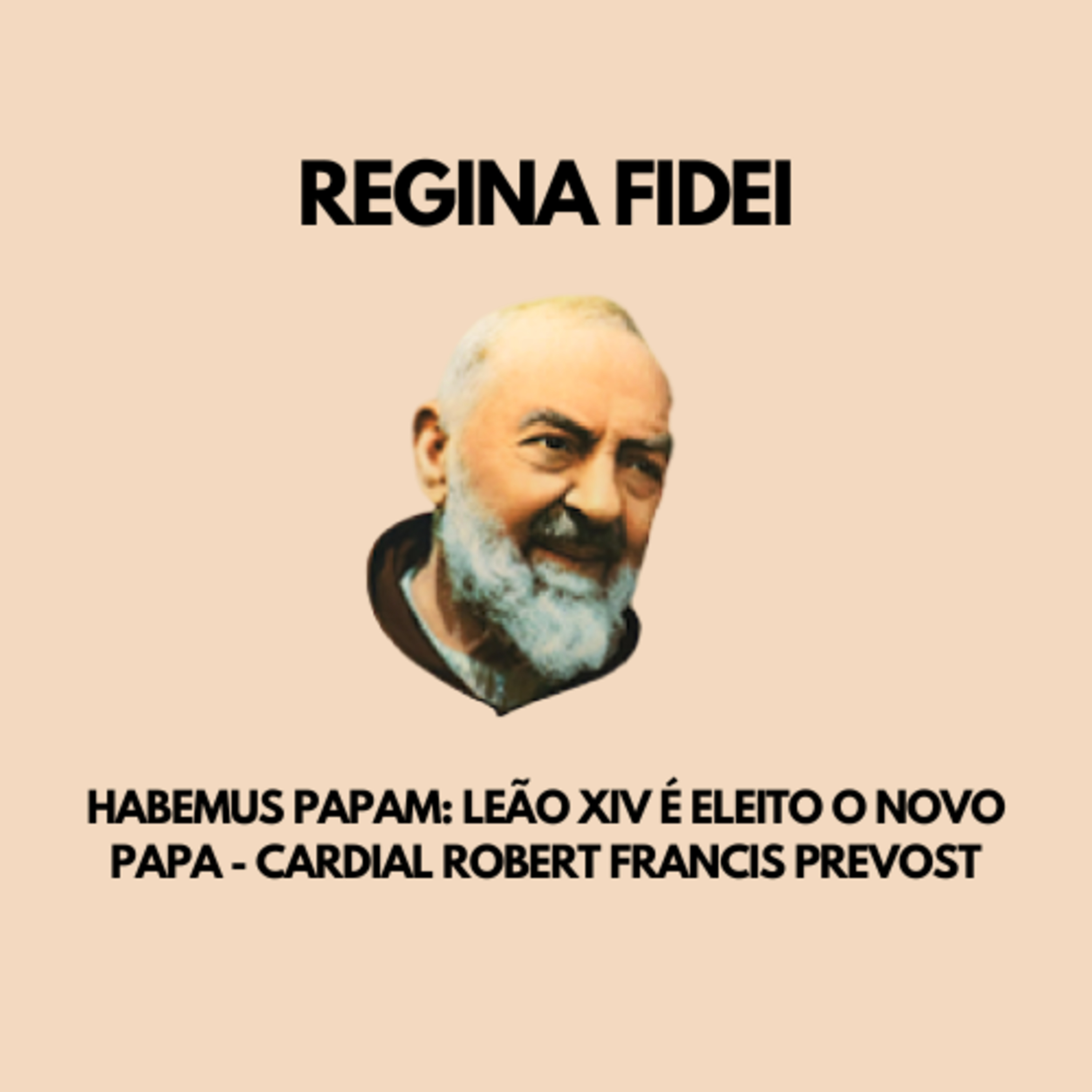 HABEMUS PAPAM: Leão XIV é eleito o novo Papa - Cardial Robert Francis Prevost episode artwork