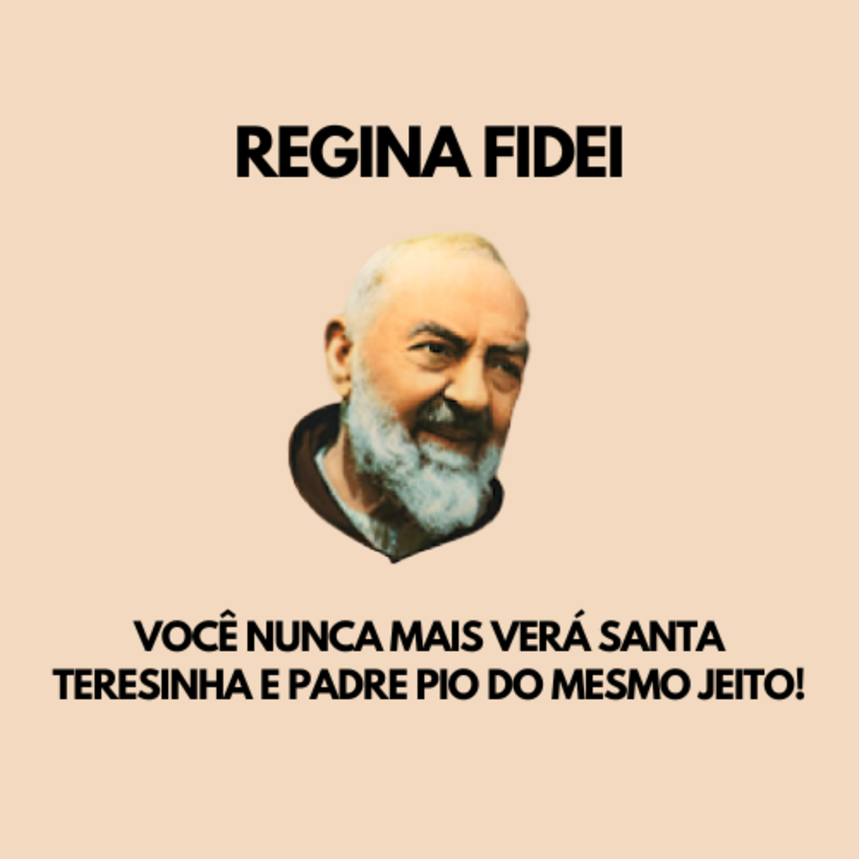 Você NUNCA MAIS verá Santa Teresinha e Padre Pio do mesmo jeito! episode artwork