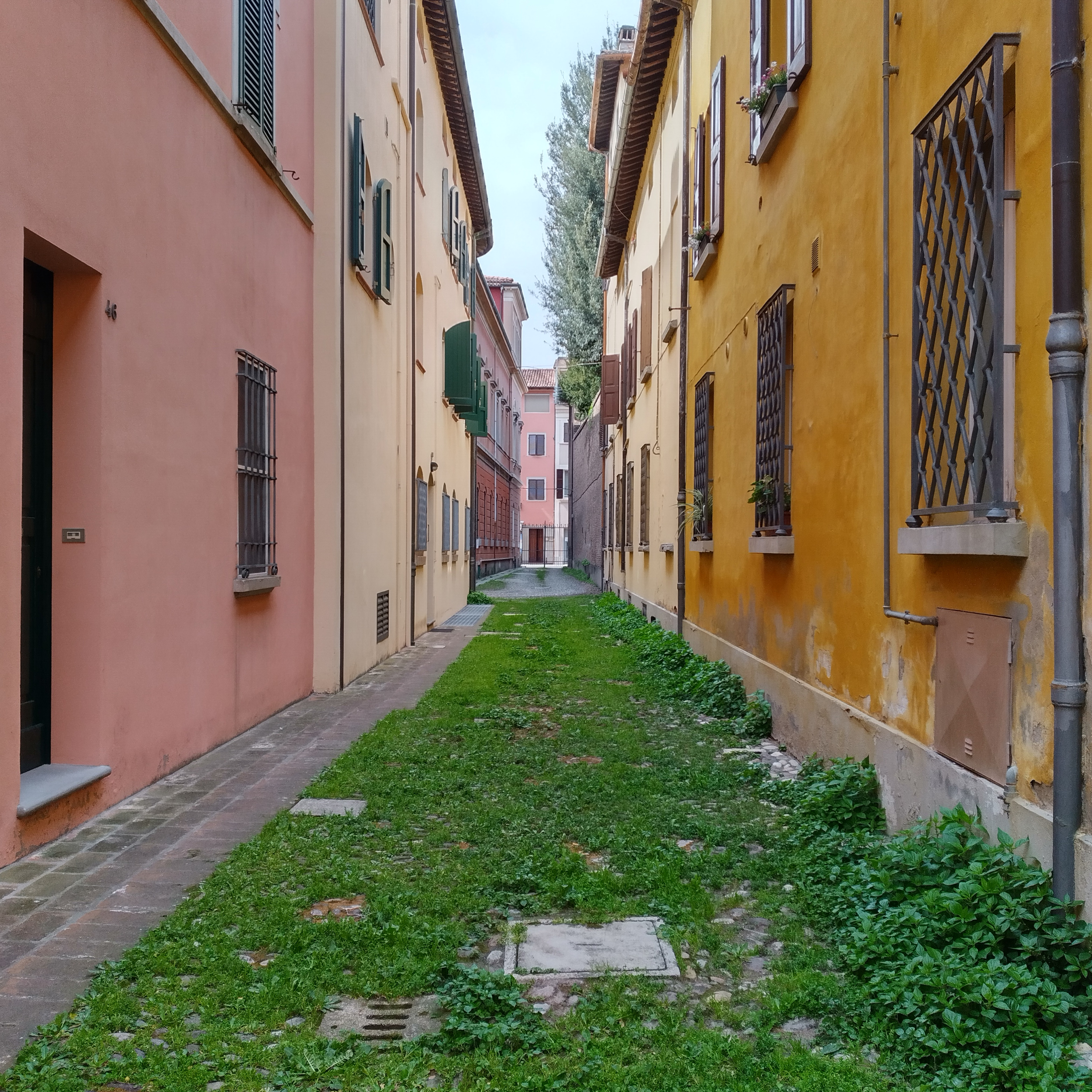 Imola in pillole