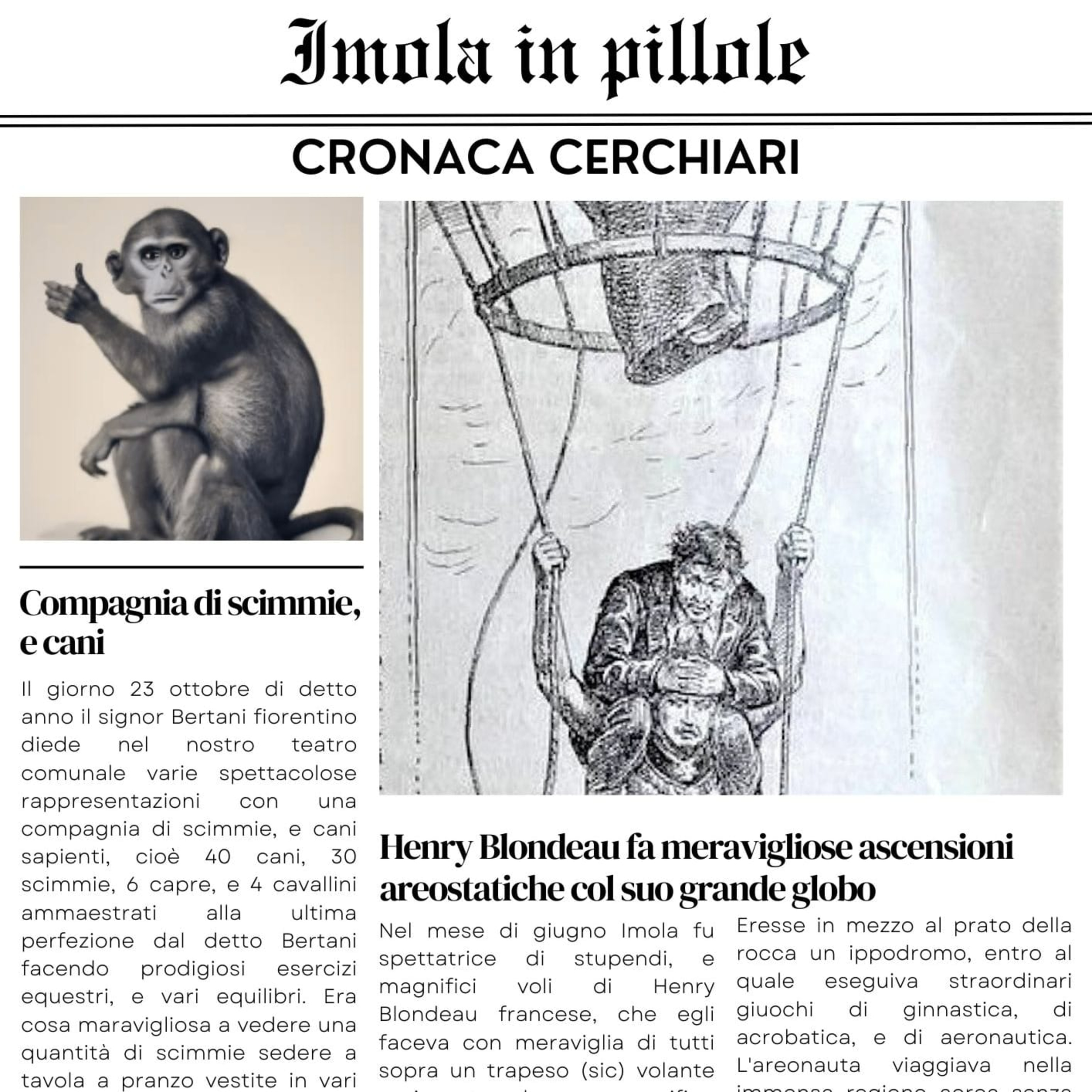 Imola in pillole