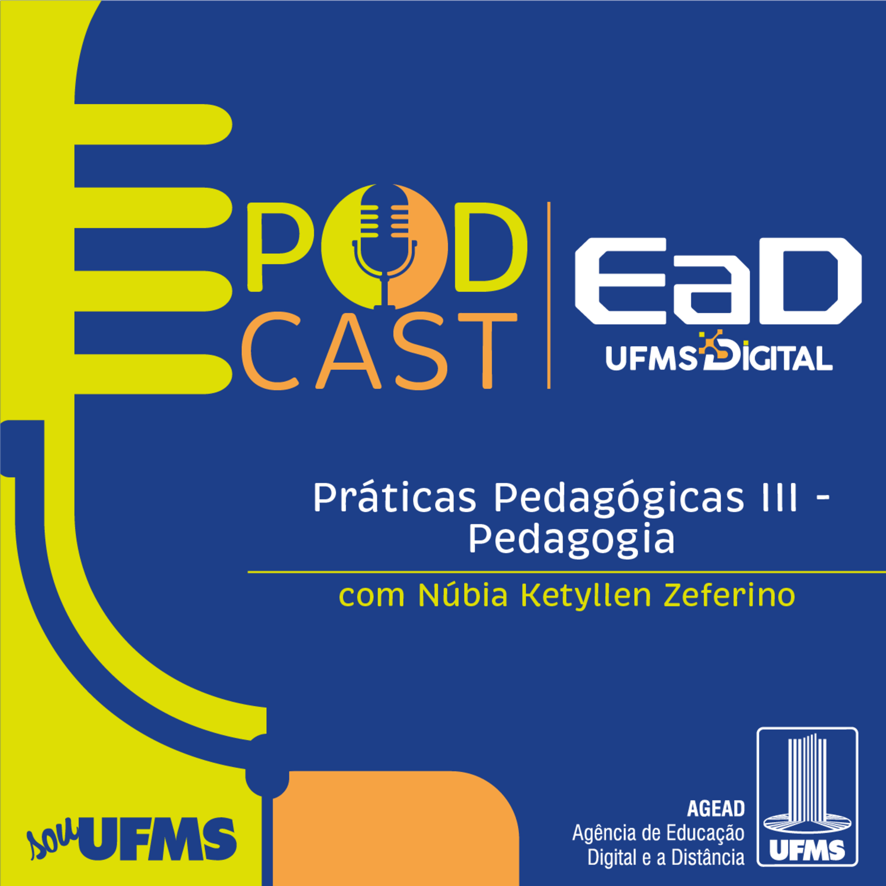 Campos de atuação do pedagogo em espaços não escolares episode artwork