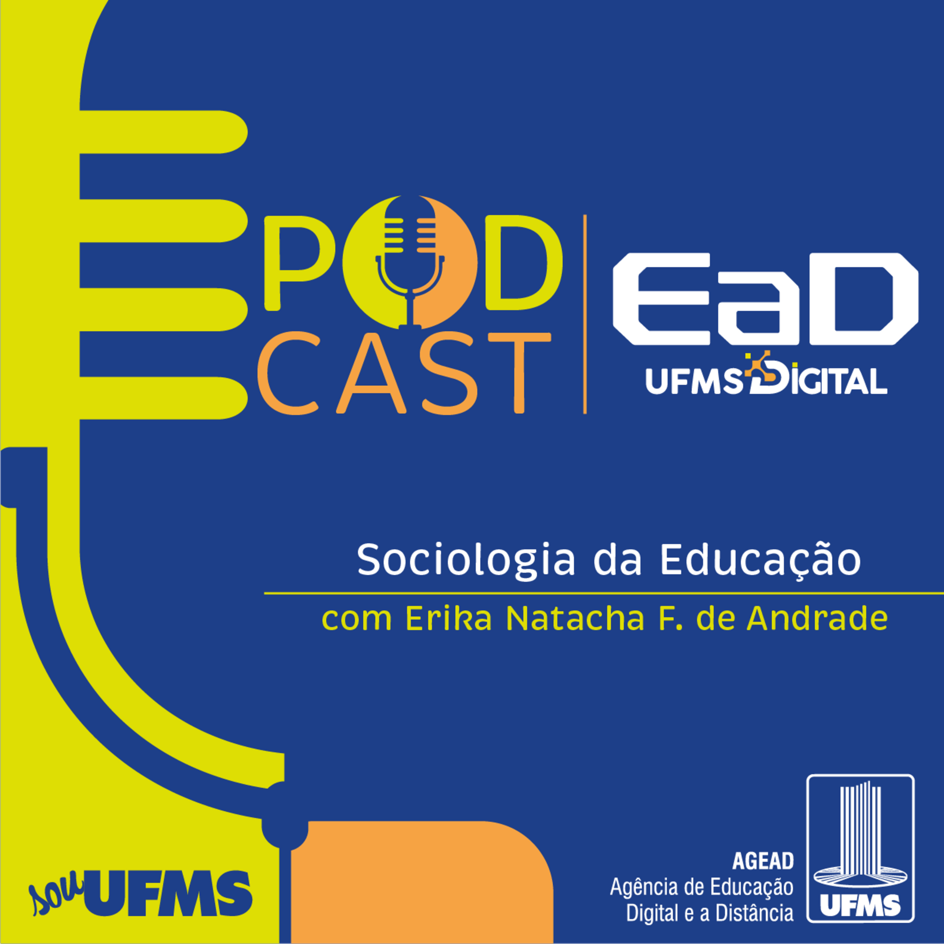 Câmara Mirim: participação estudantil e formação para a cidadania episode artwork