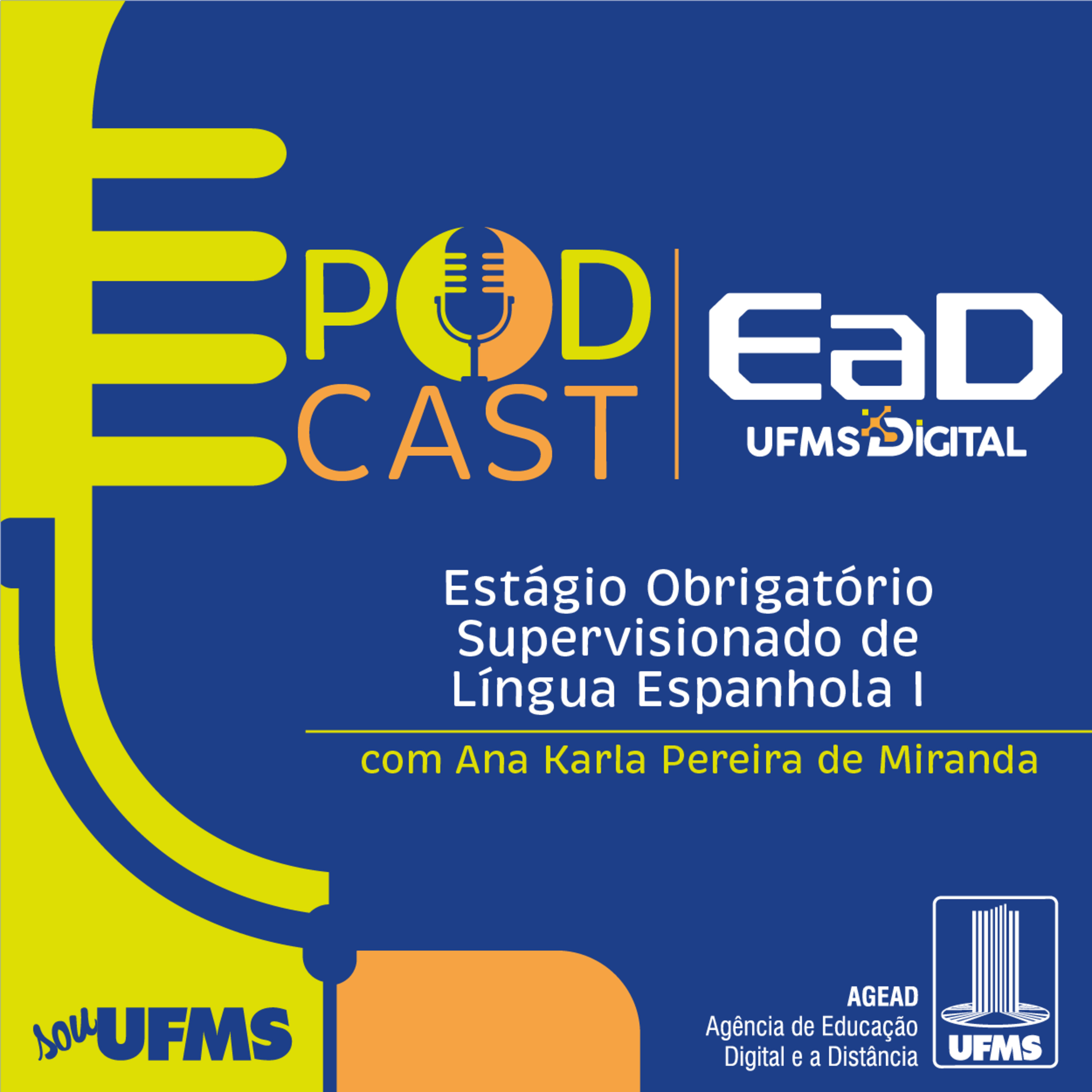 Avaliação em língua adicional episode artwork