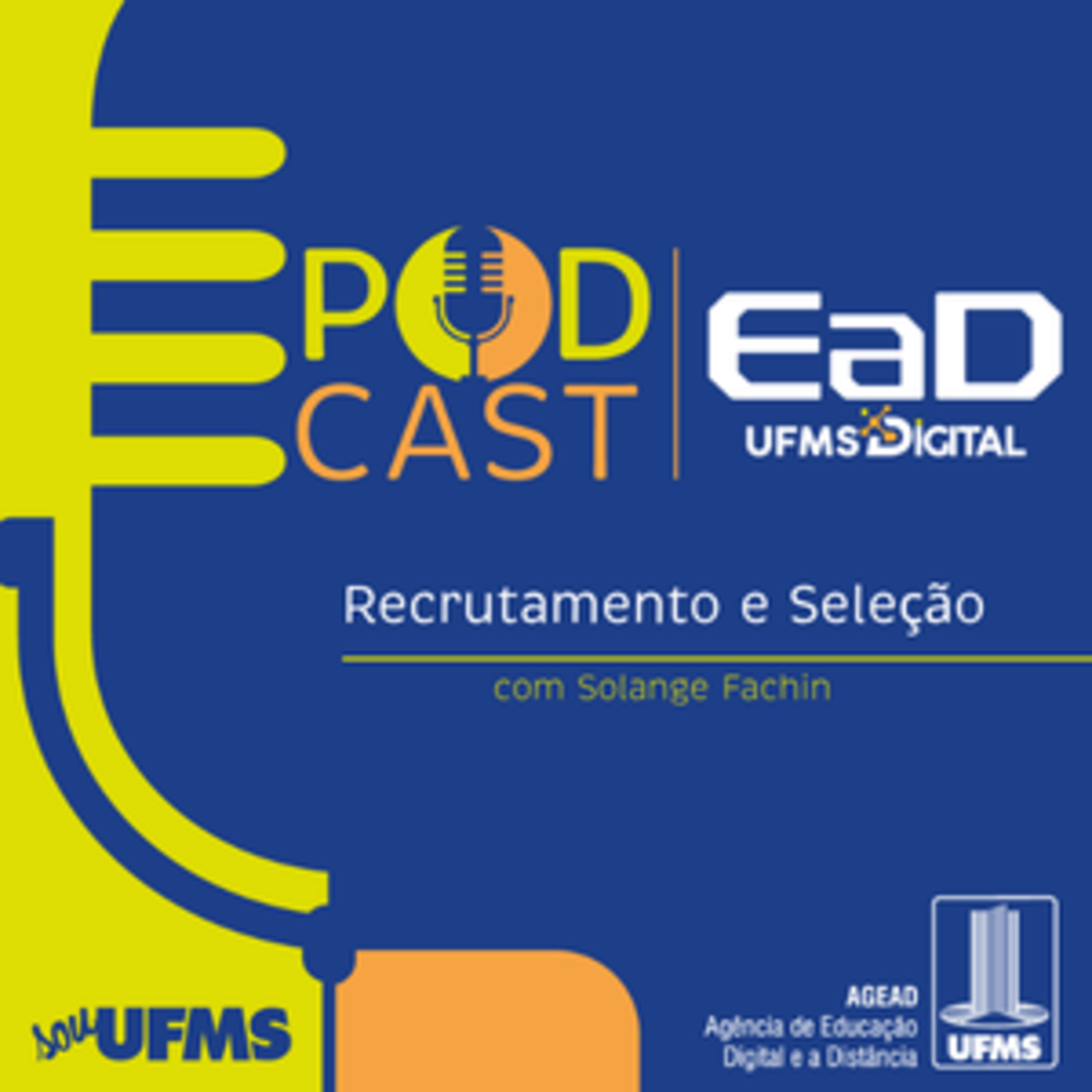Desafios nos Processos de Recrutamento e Seleção em organizações públicas e privadas episode artwork