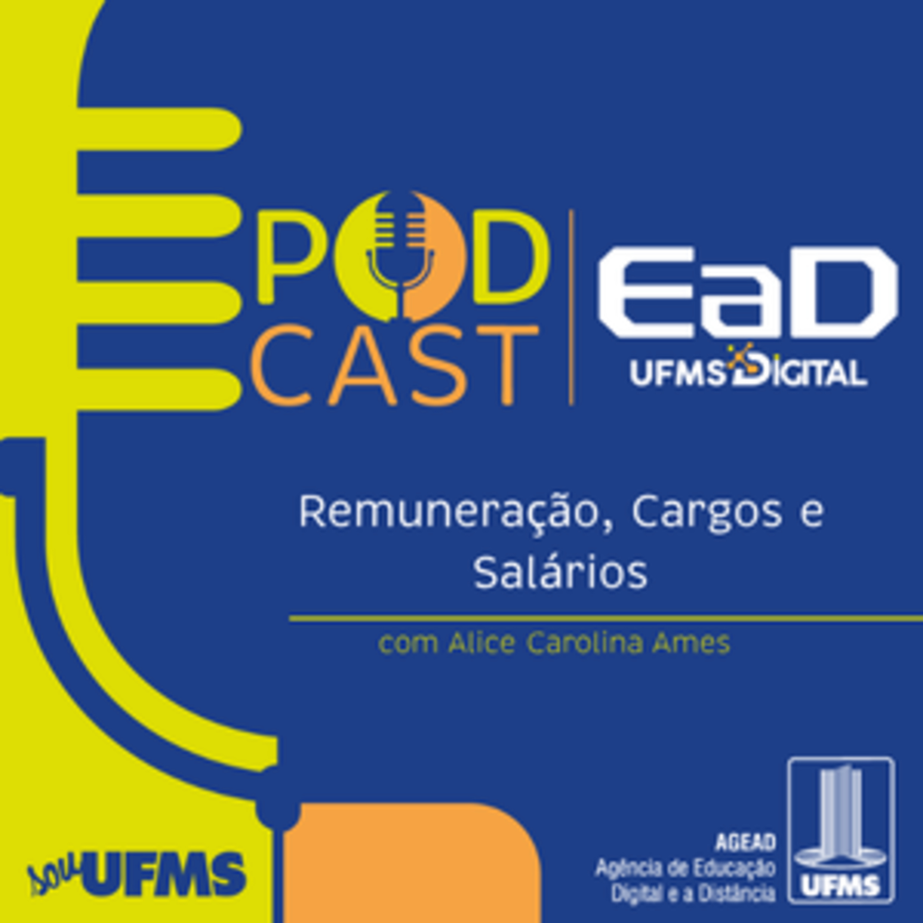 Clima Organizacional no Setor Público: impactos no comportamento e desempenho dos servidores públicos episode artwork