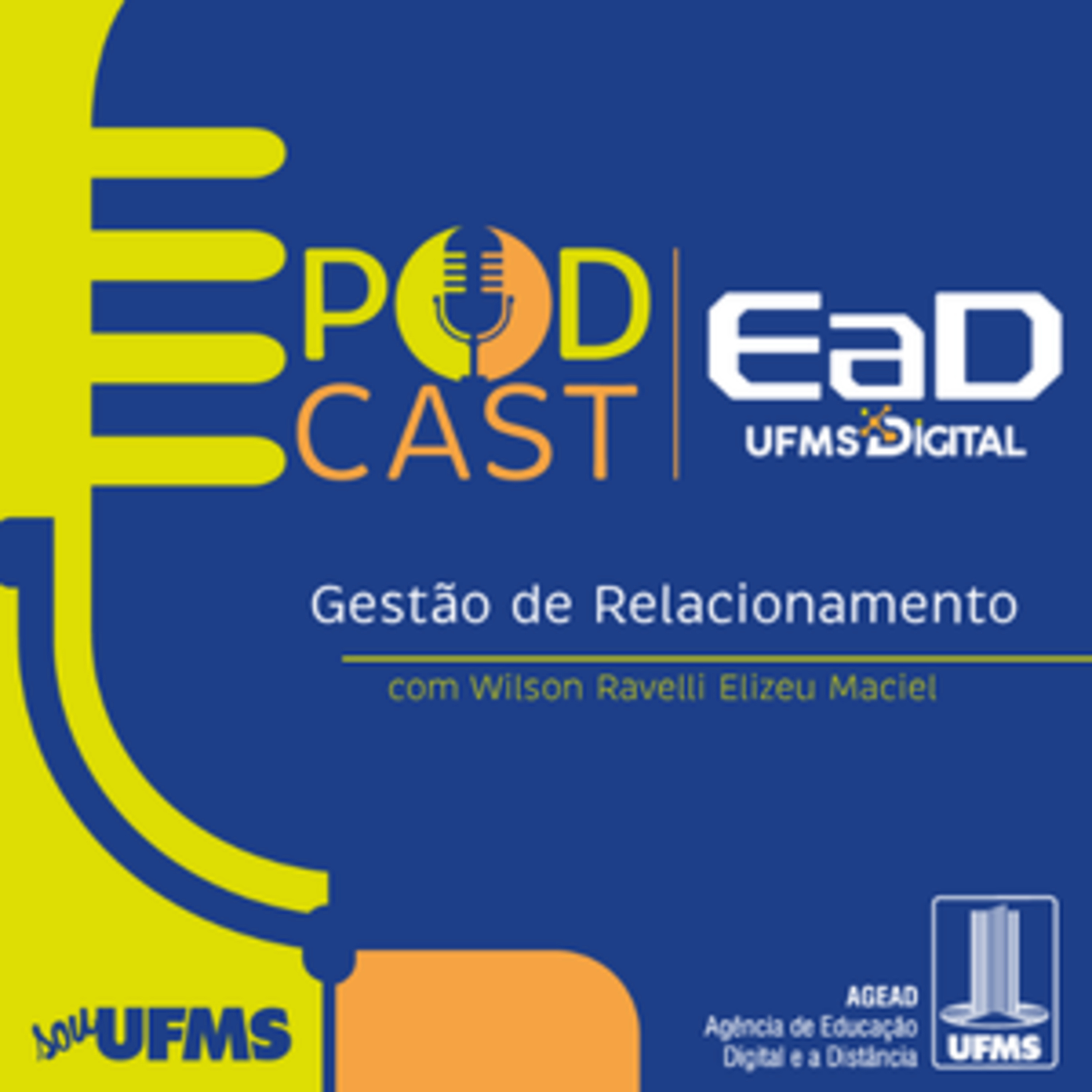 Relacionamento com Clientes na Era Digital: Valor, Experiência e Fidelização episode artwork