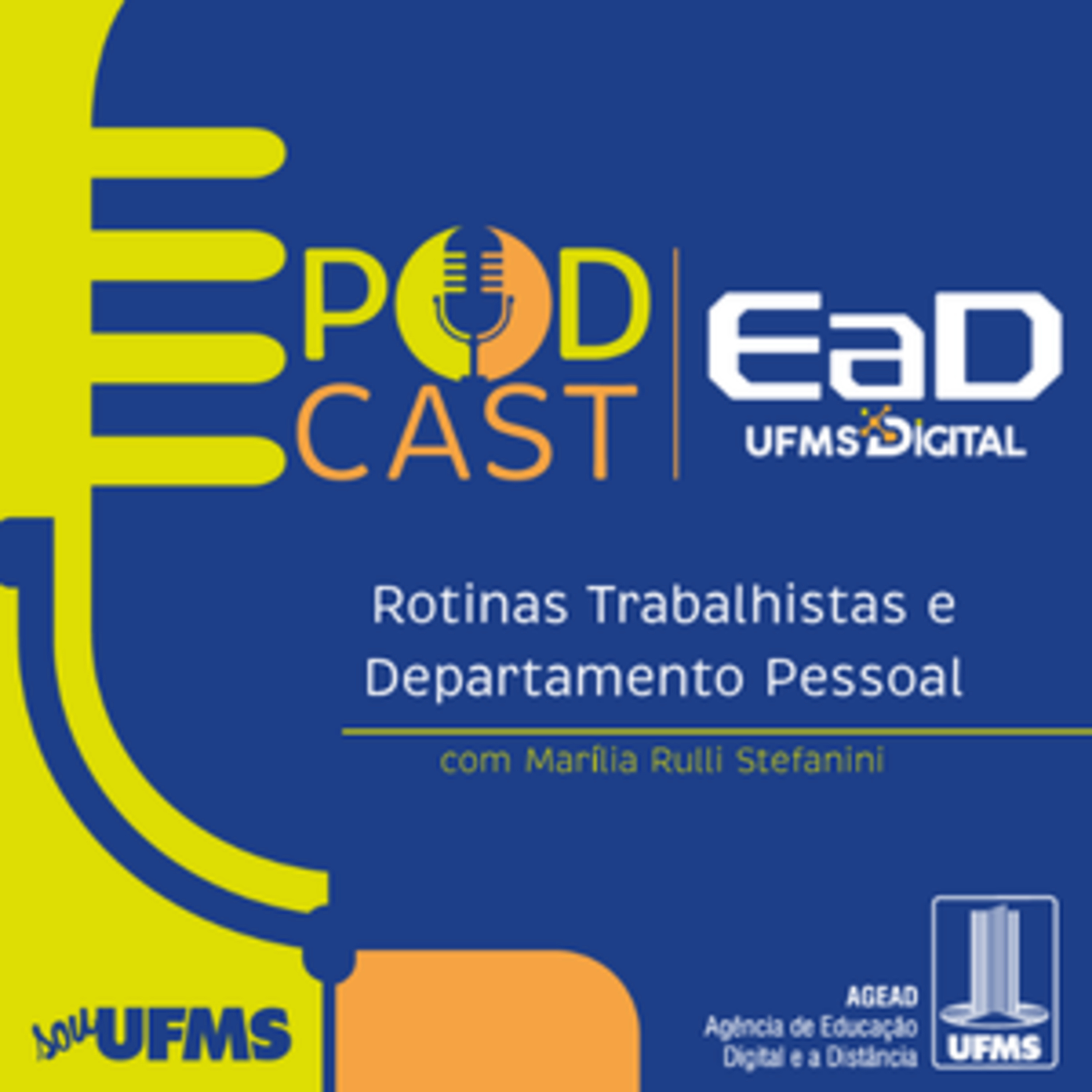 Os desafios da proteção jurídica dos direitos sociais na era da economia da informação episode artwork