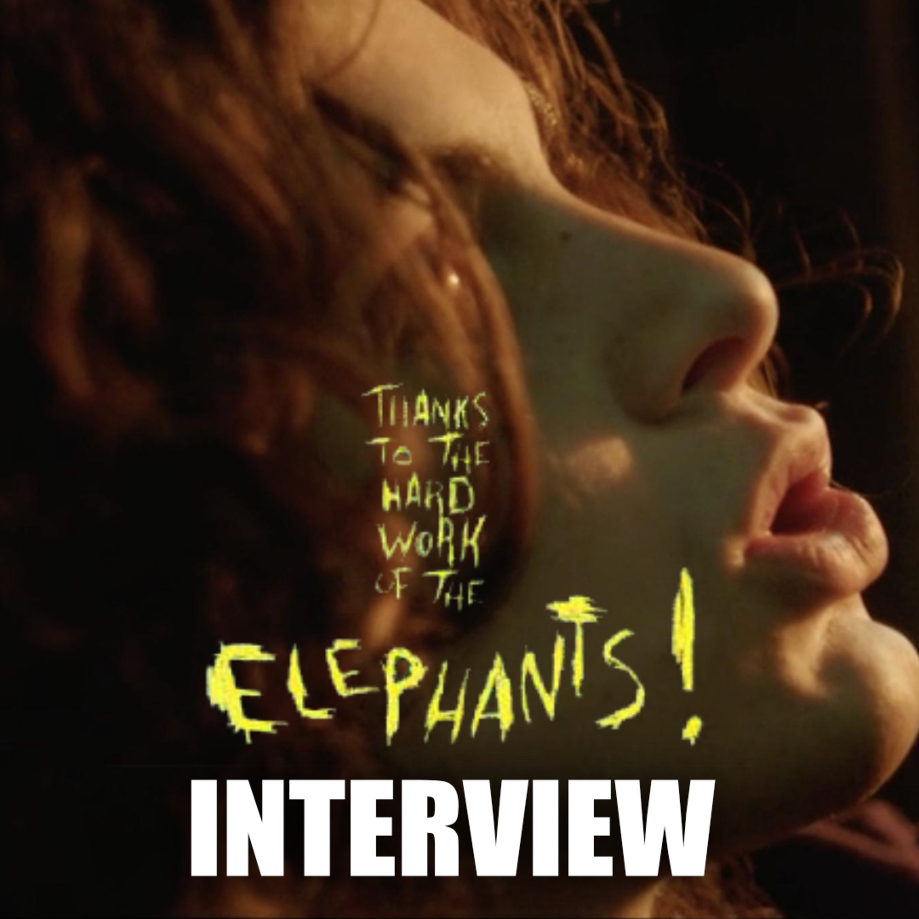 From Actor to Director: Bryce Hodgson on Thanks to the Hard Work of the Elephants episode artwork