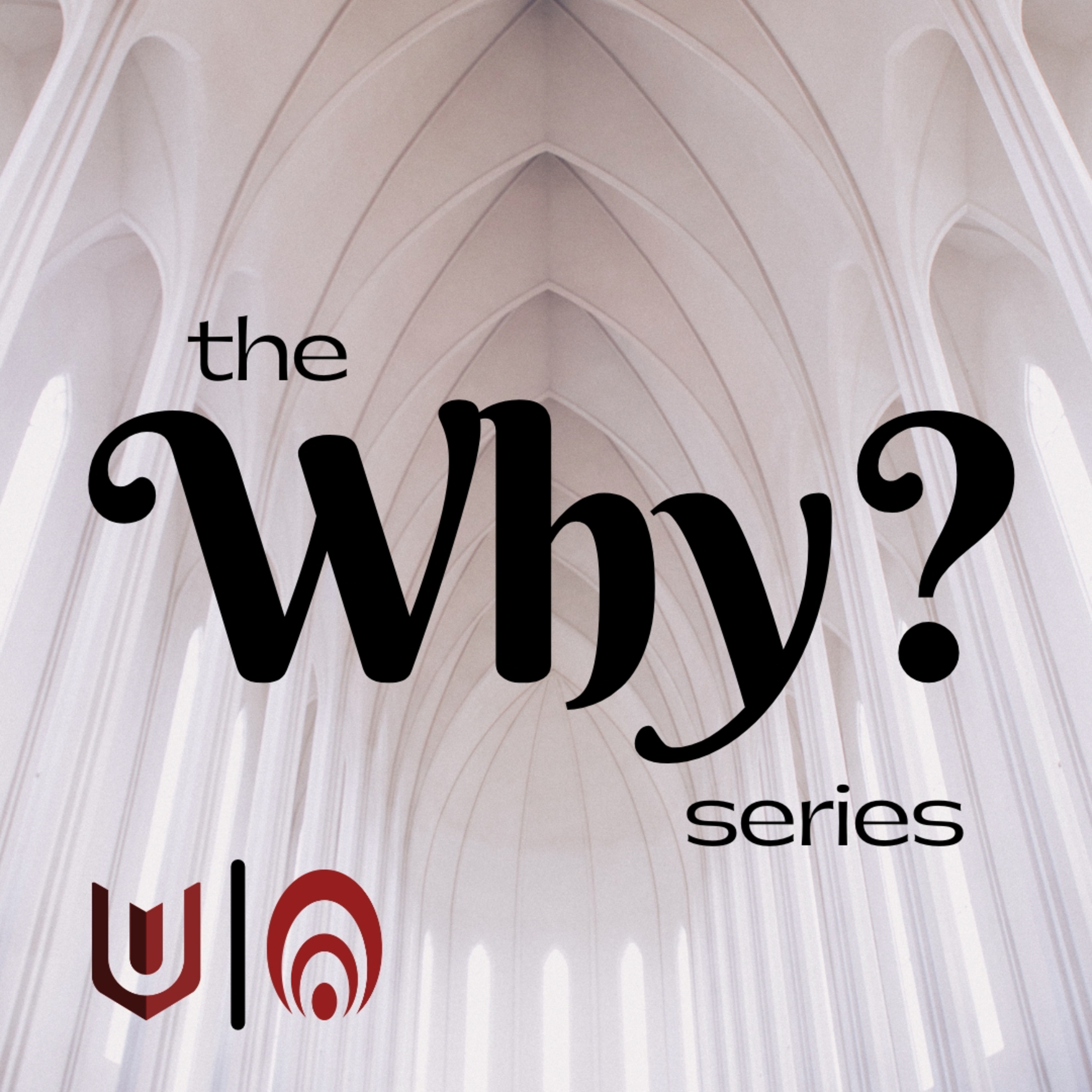The Why? Series 2, Ep. 3: The Person and Work of Jesus Christ episode artwork