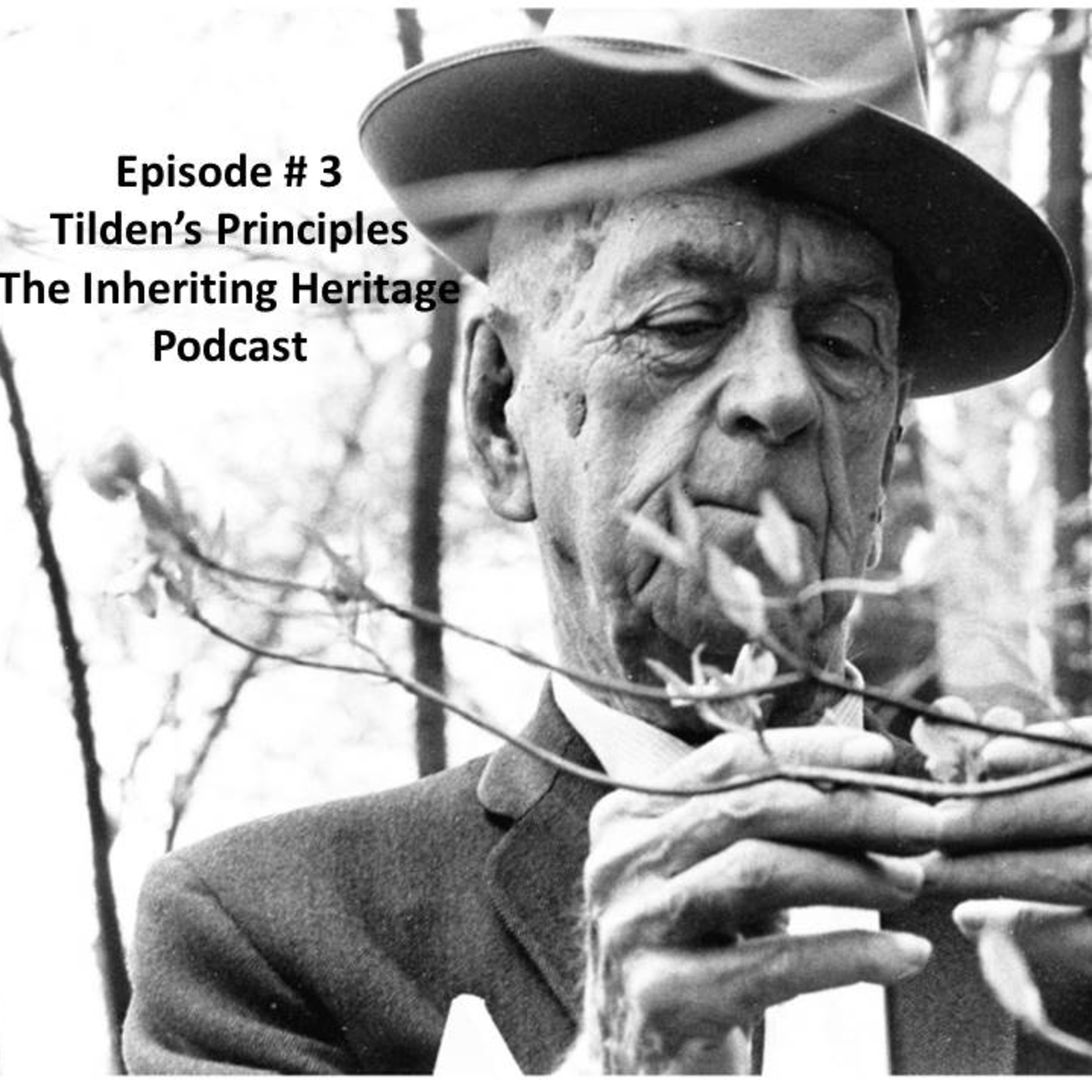 Episode # 3 - Tilden's Principles episode artwork