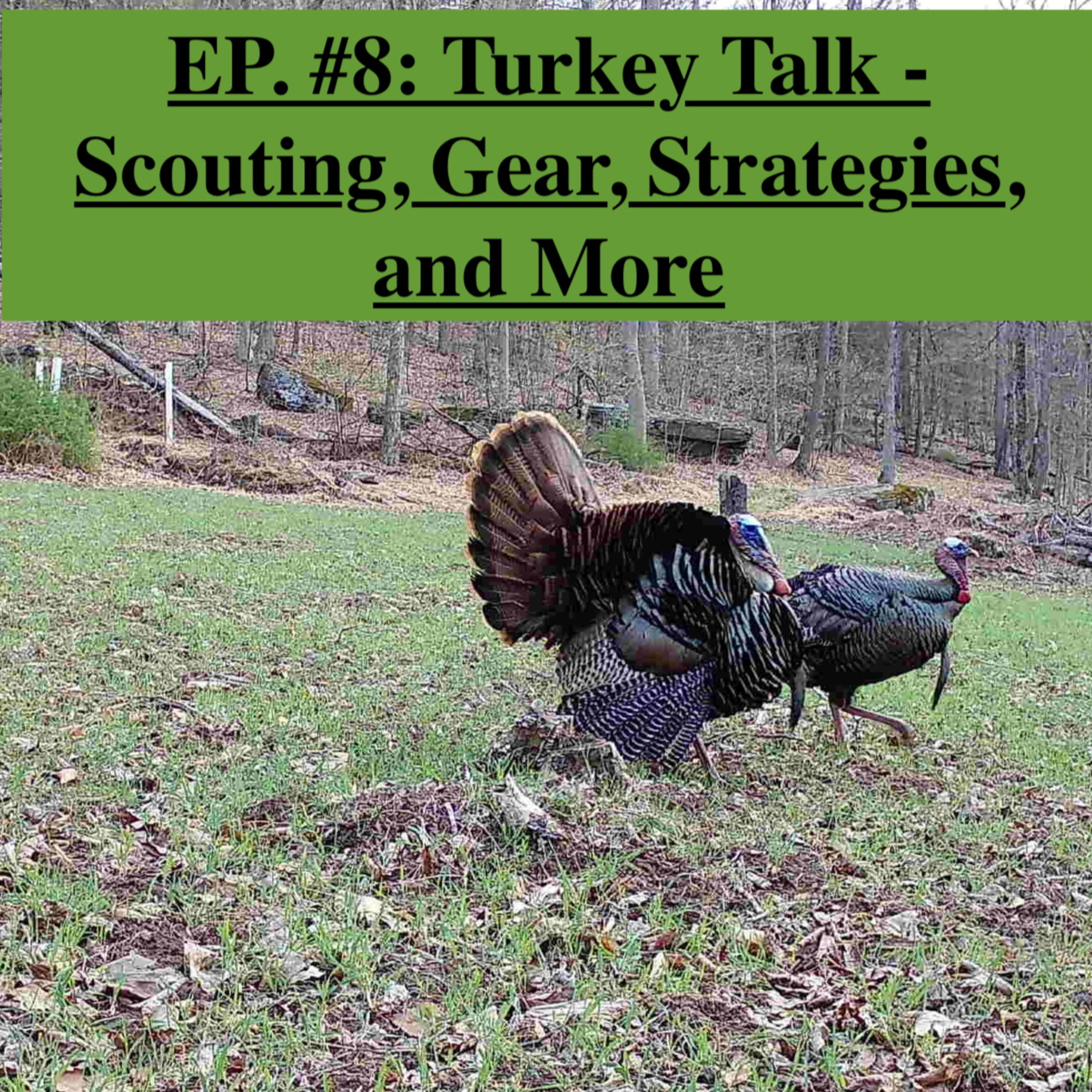EP. #8: Turkey Talk - Scouting, Gear, Strategies, and More