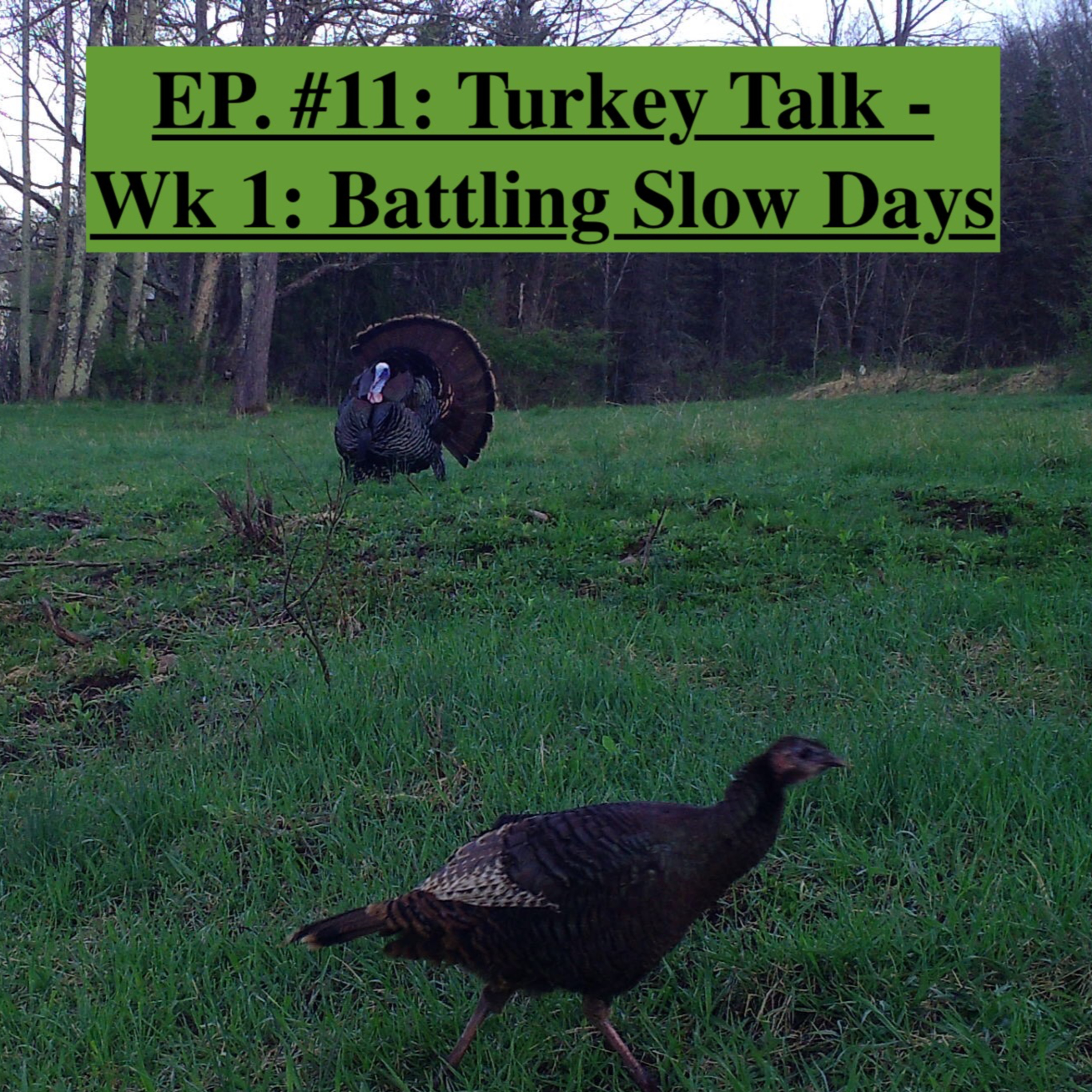 EP. #11: Turkey Talk - Wk 1: Battling Slow Days