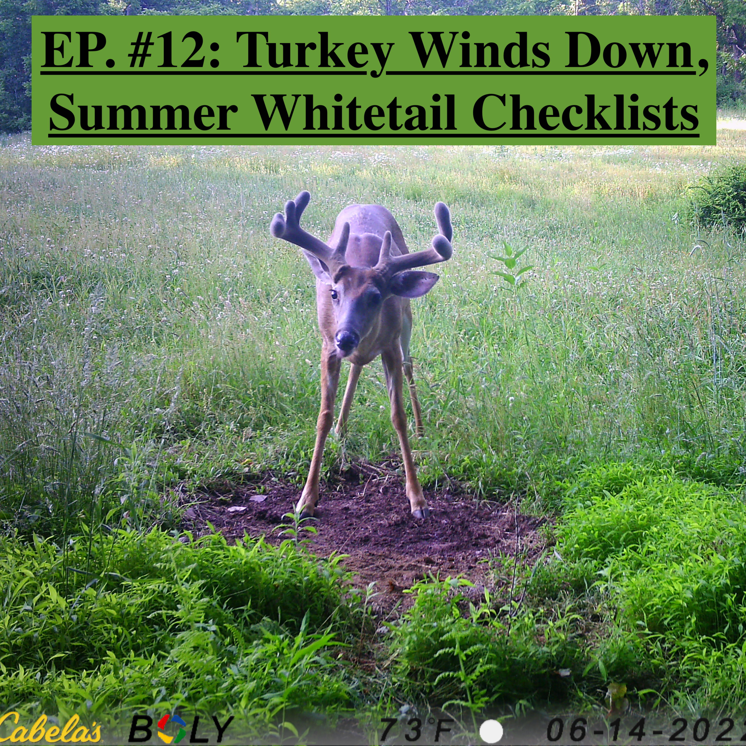 EP. #12: Turkey Winds Down, Whitetail Summer Checklists